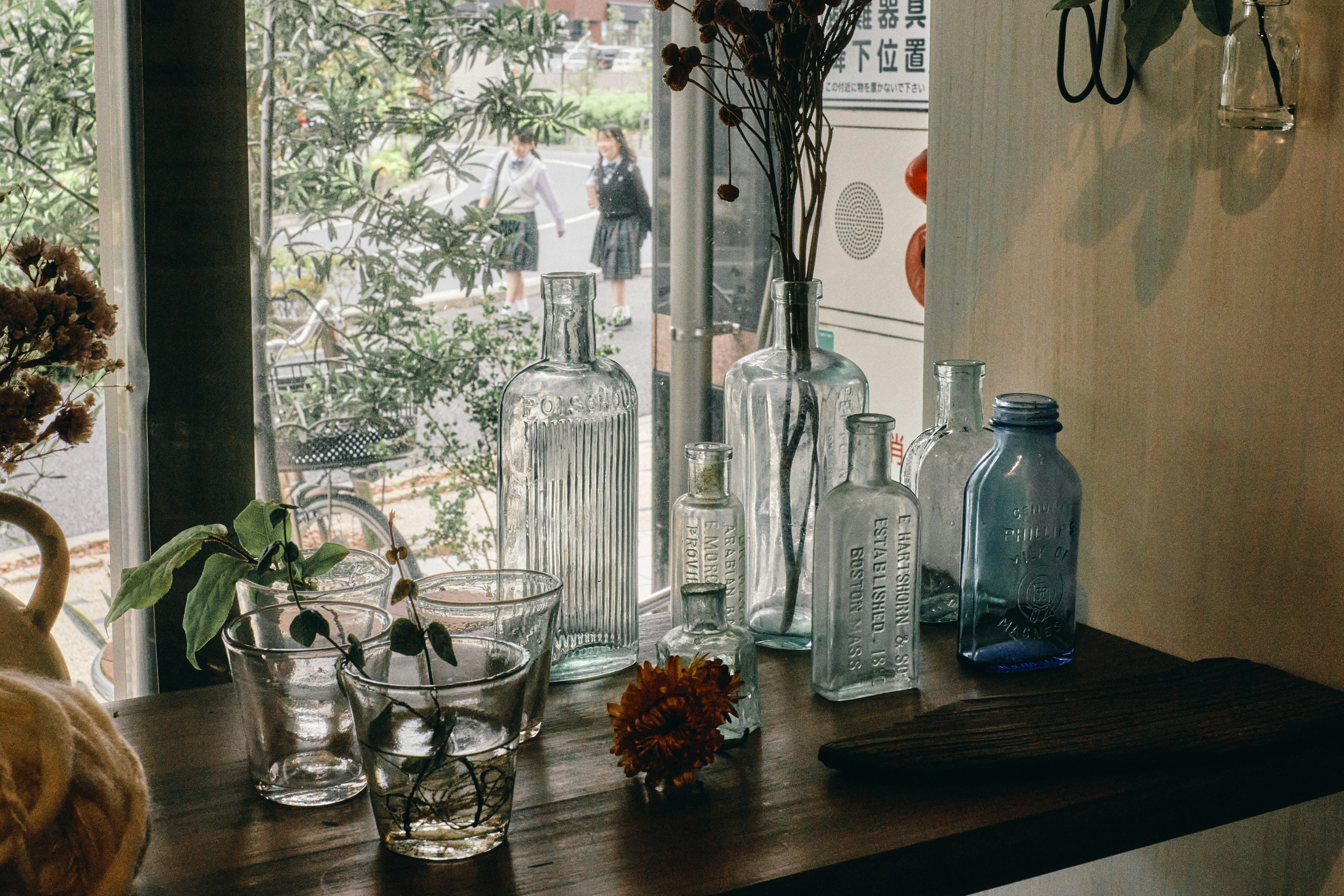 Collection of glass bottles and small flower arrangement on a wooden surface by a window