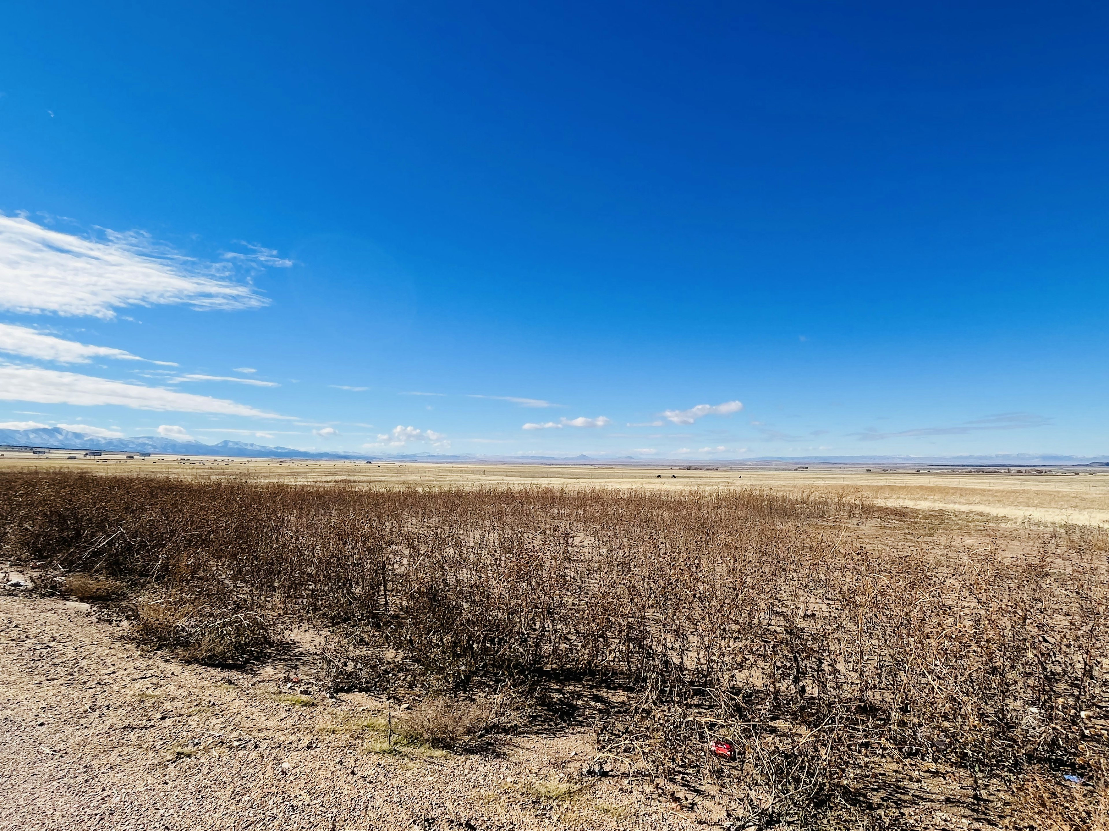 Weite trockene Landschaft unter klarem blauen Himmel