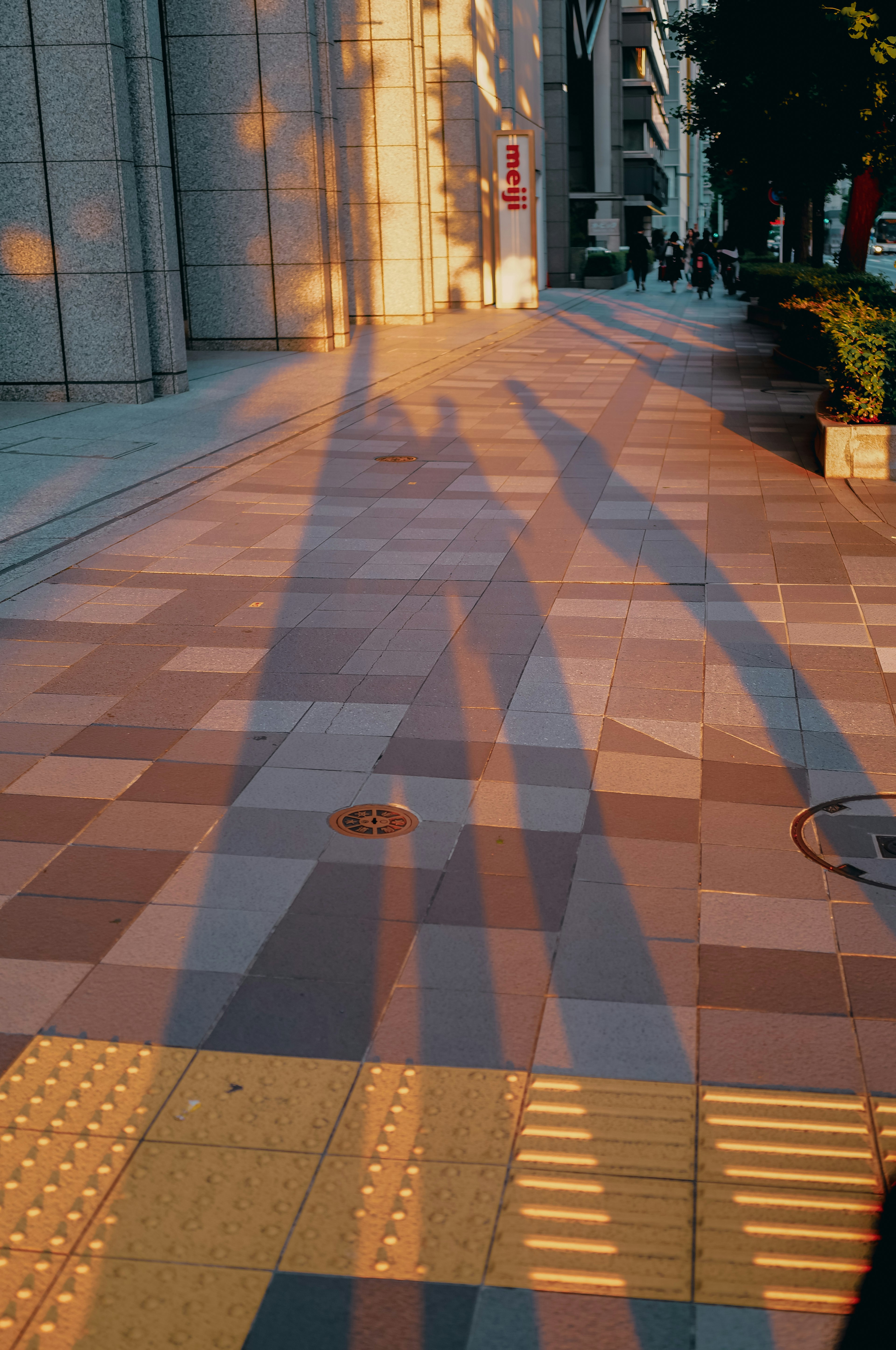 日差しの中で伸びる二つの影が映る歩道の風景