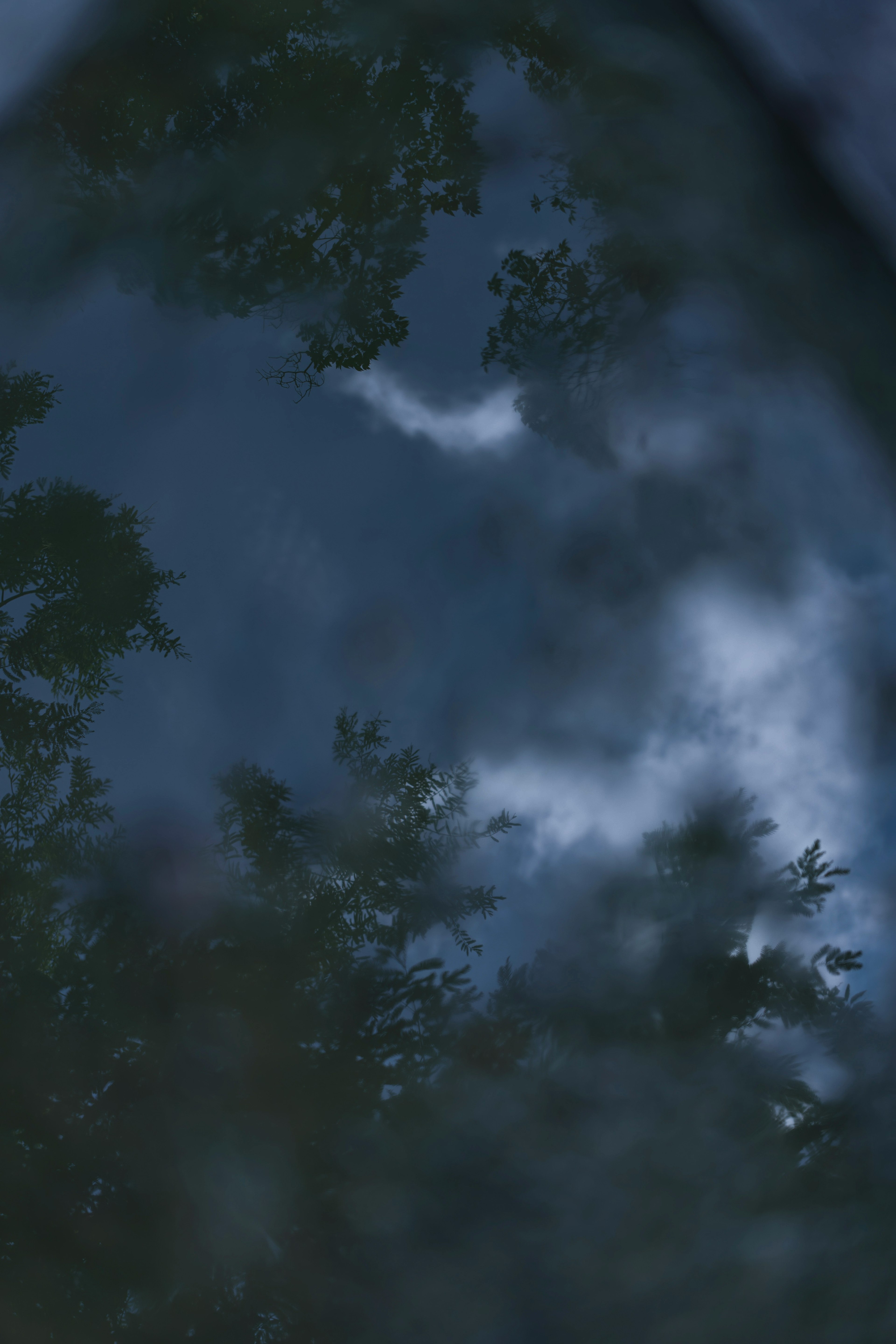 Reflection of trees and clouds on a dark water surface