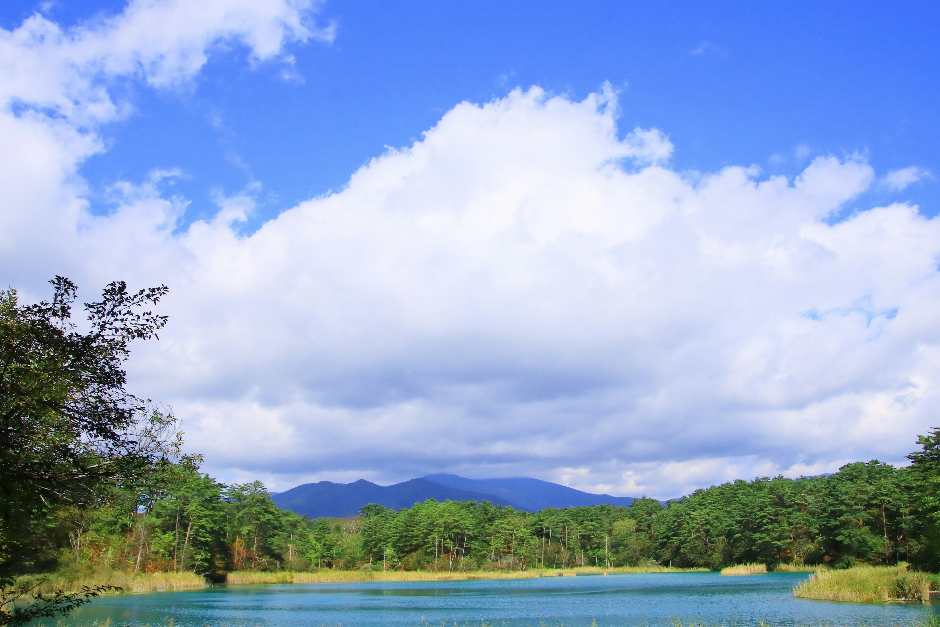 ทิวทัศน์ของทะเลสาบสีน้ำเงินที่มีต้นไม้เขียวขจีและภูเขา