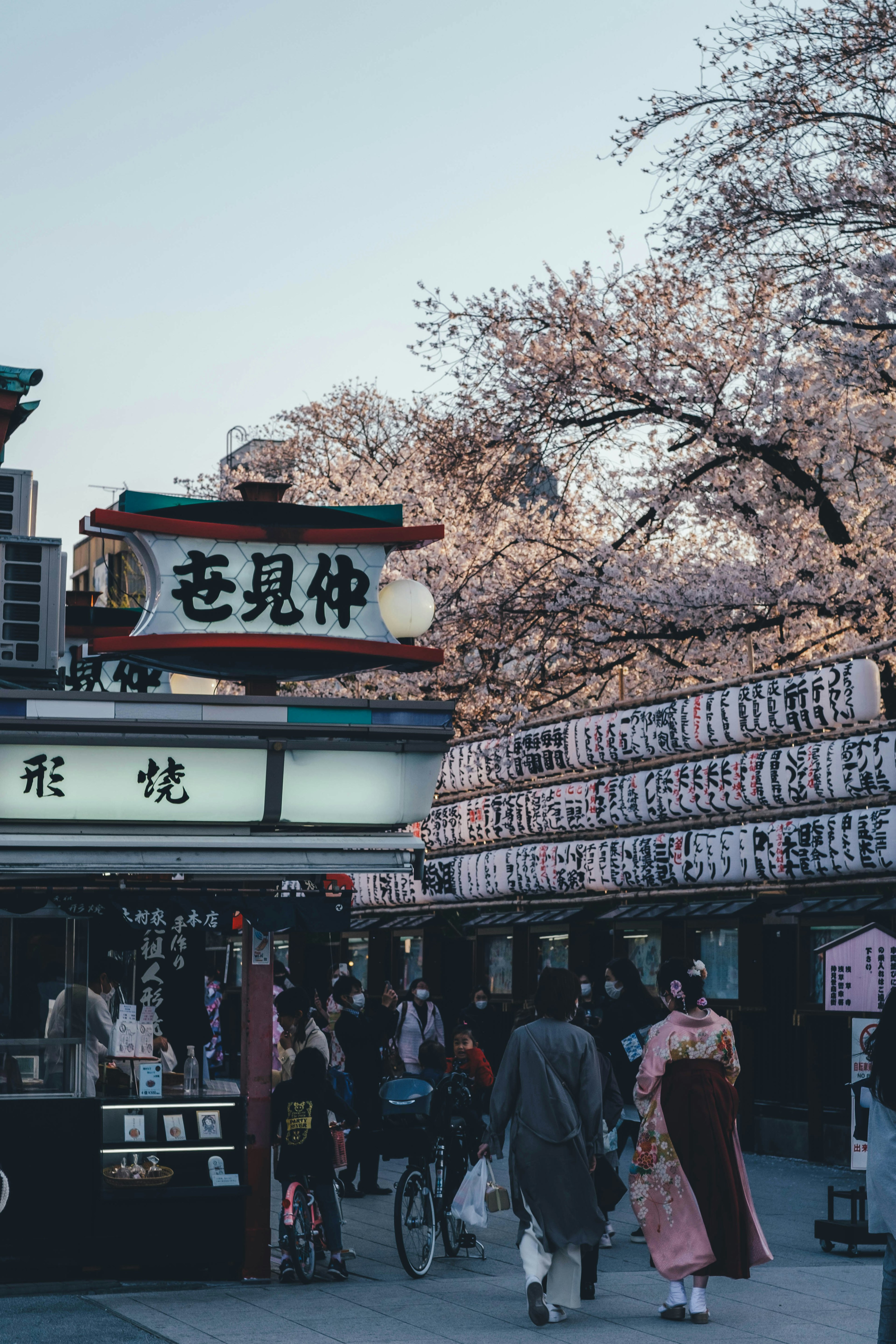 桜の木々の下で賑わう街並みと伝統的な衣装を着た人々