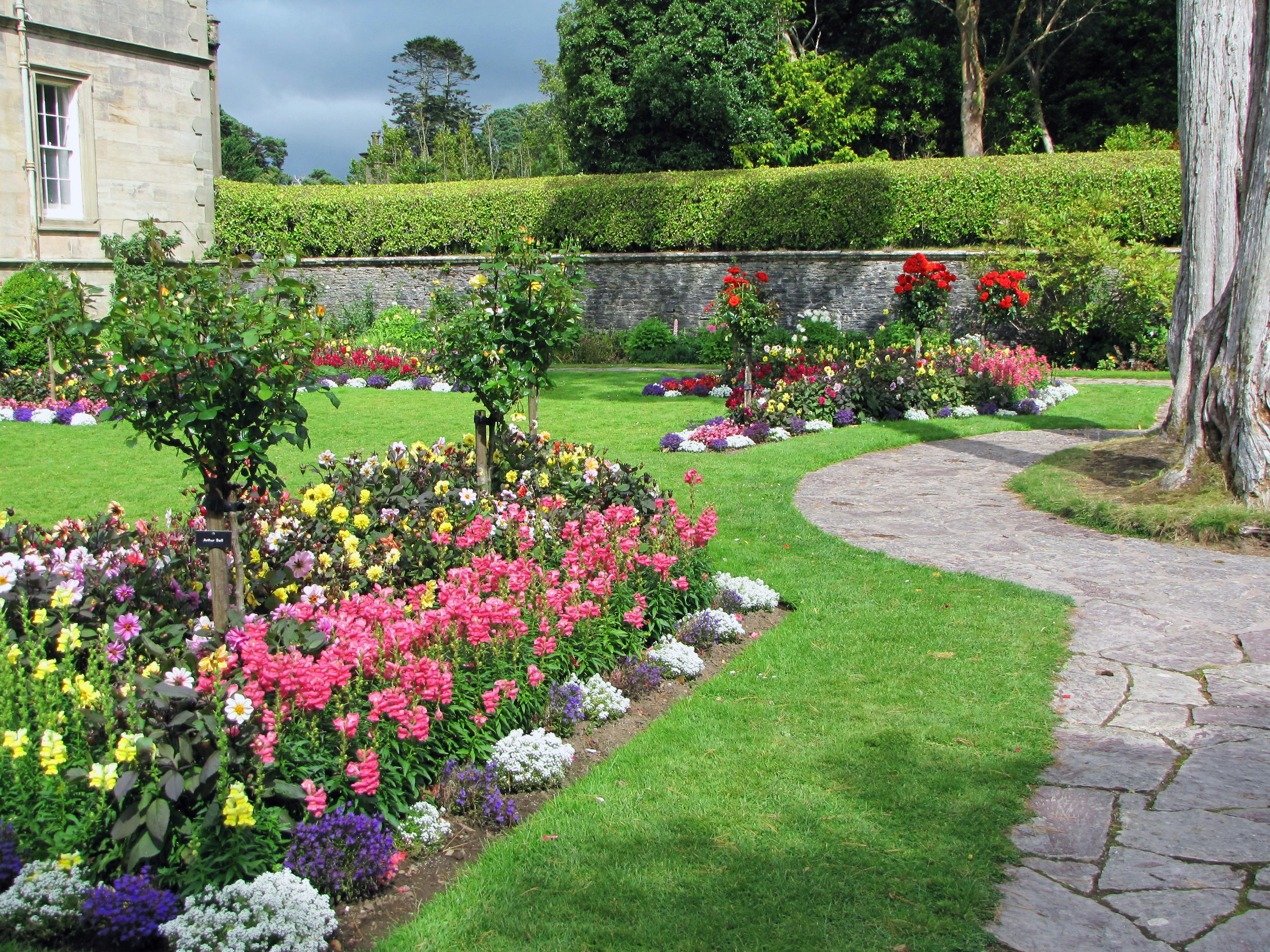 Un bellissimo giardino con fiori colorati che fioriscono lungo un sentiero di pietra