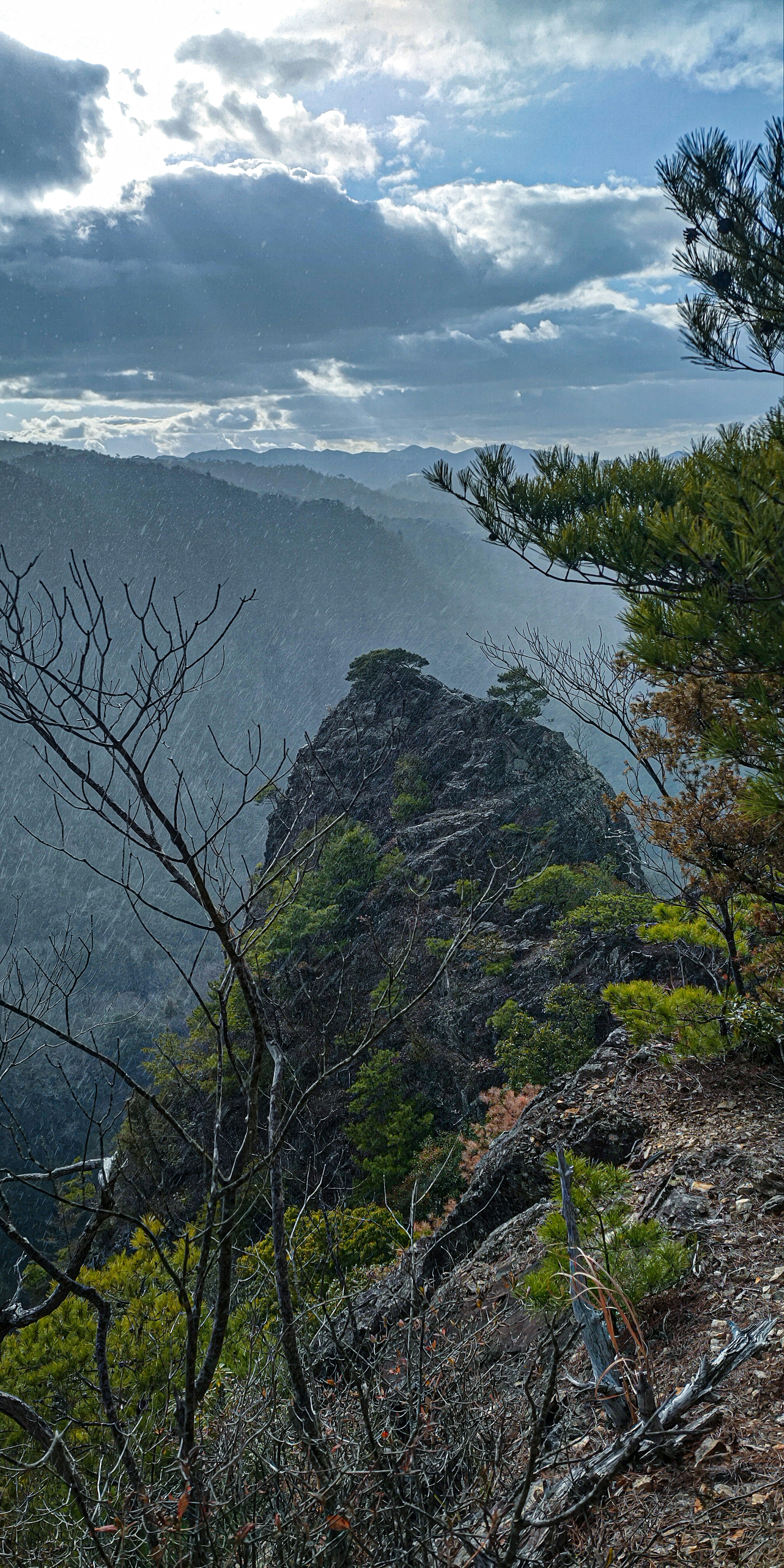 Paysage dramatique avec un sommet rocheux et une végétation luxuriante