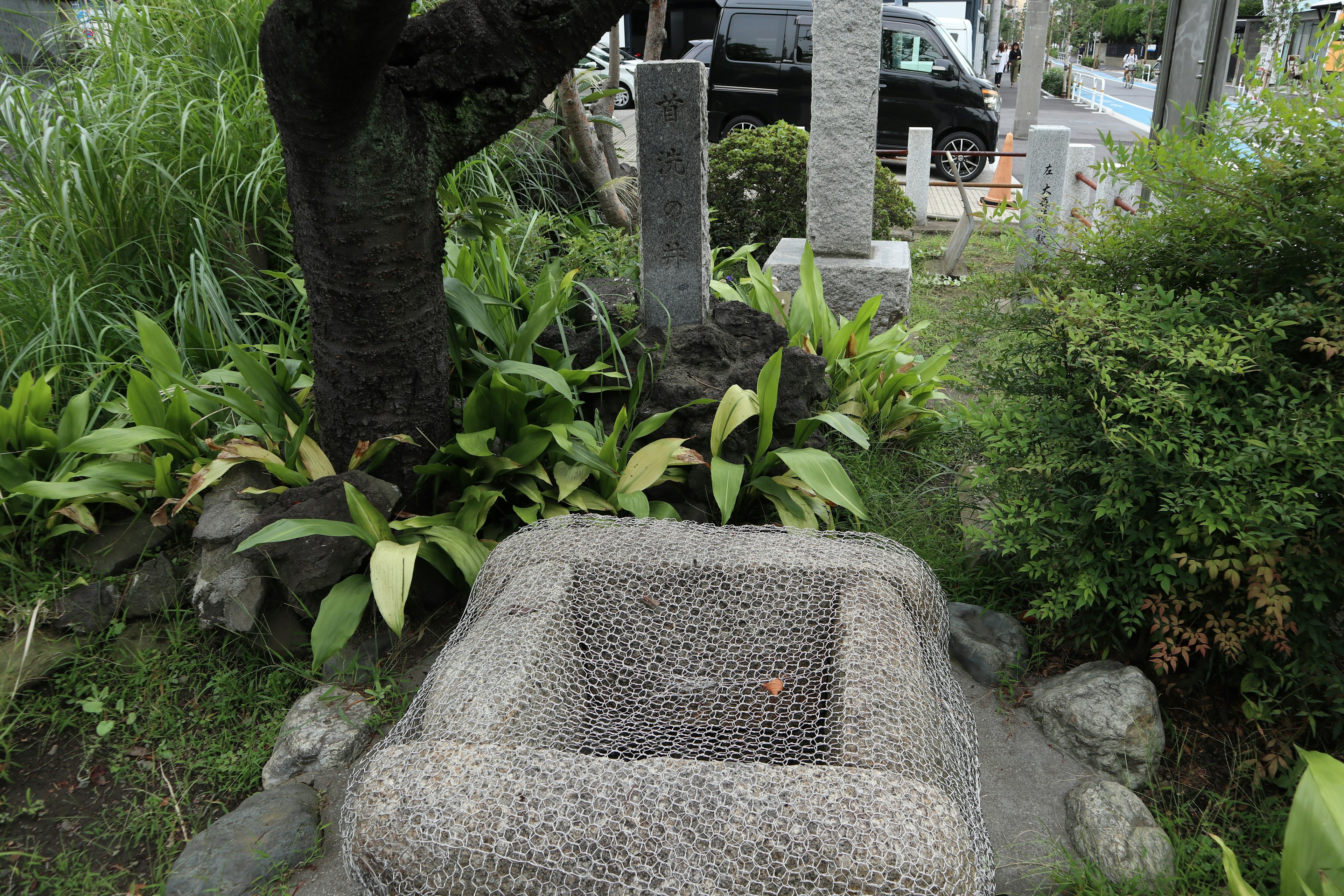 Stone well surrounded by lush green plants and graves