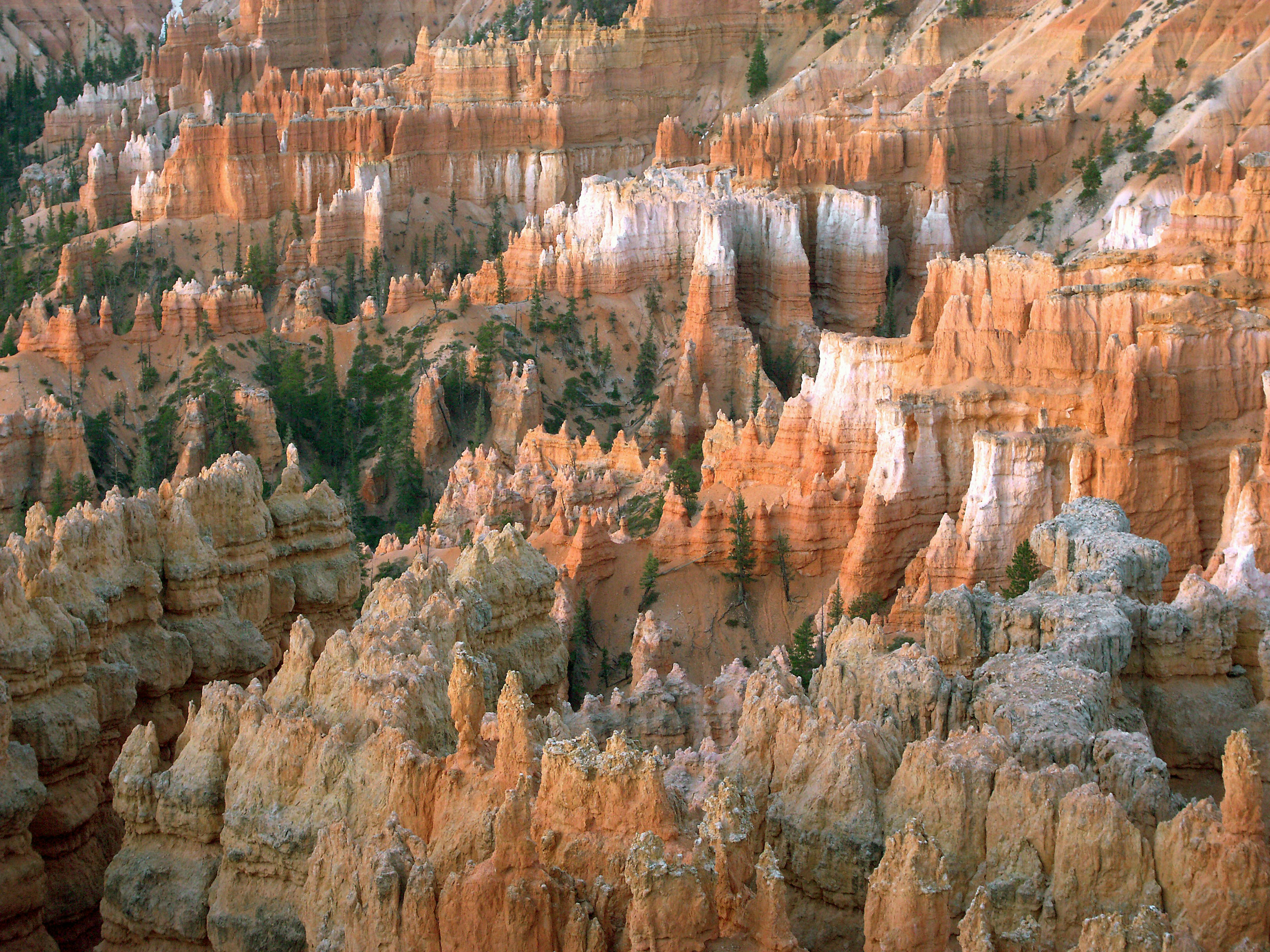 Formations de hoodoos uniques et couches de roche orange vif dans le Bryce Canyon