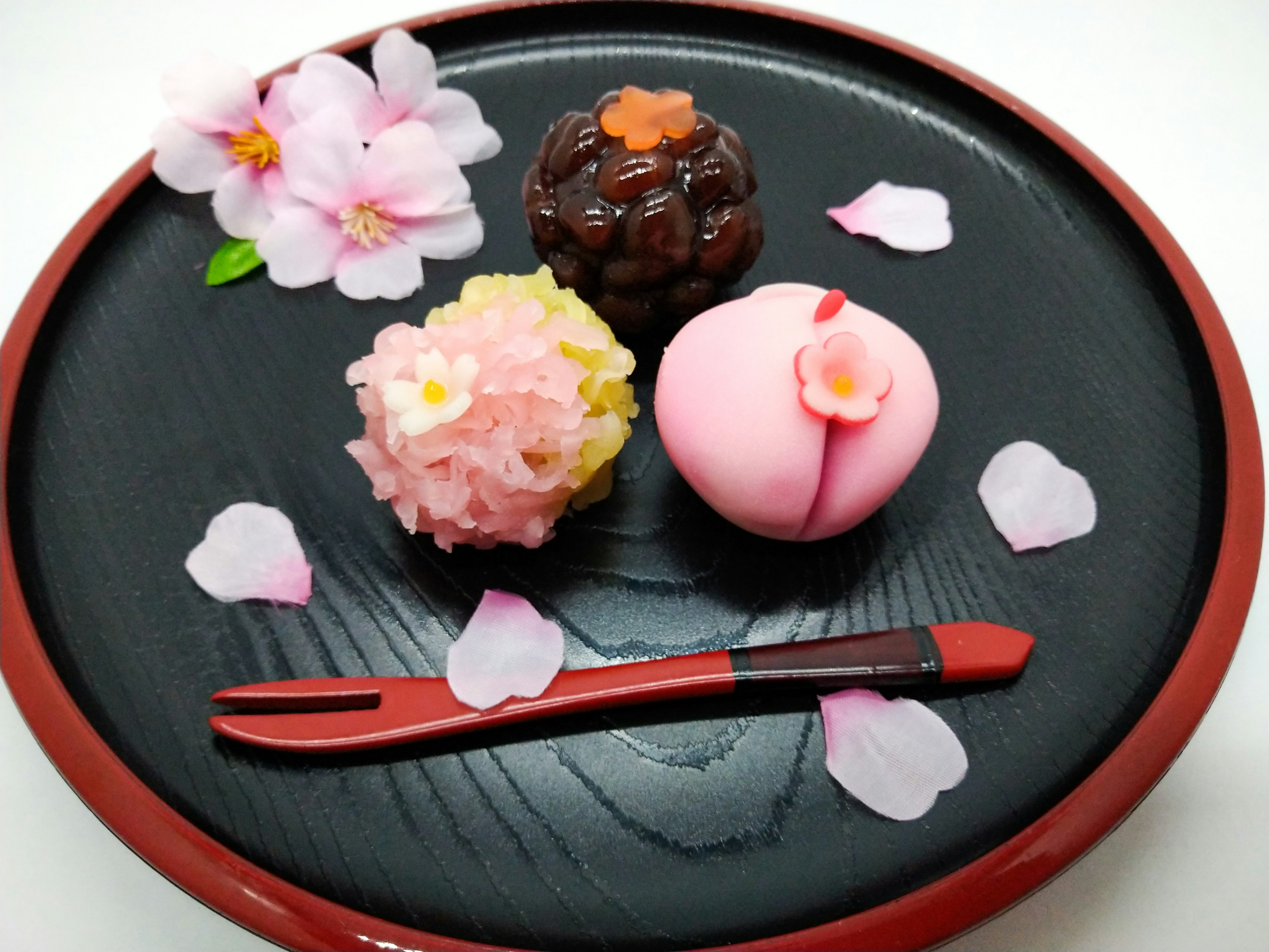 Beautiful assortment of wagashi with cherry blossom petals