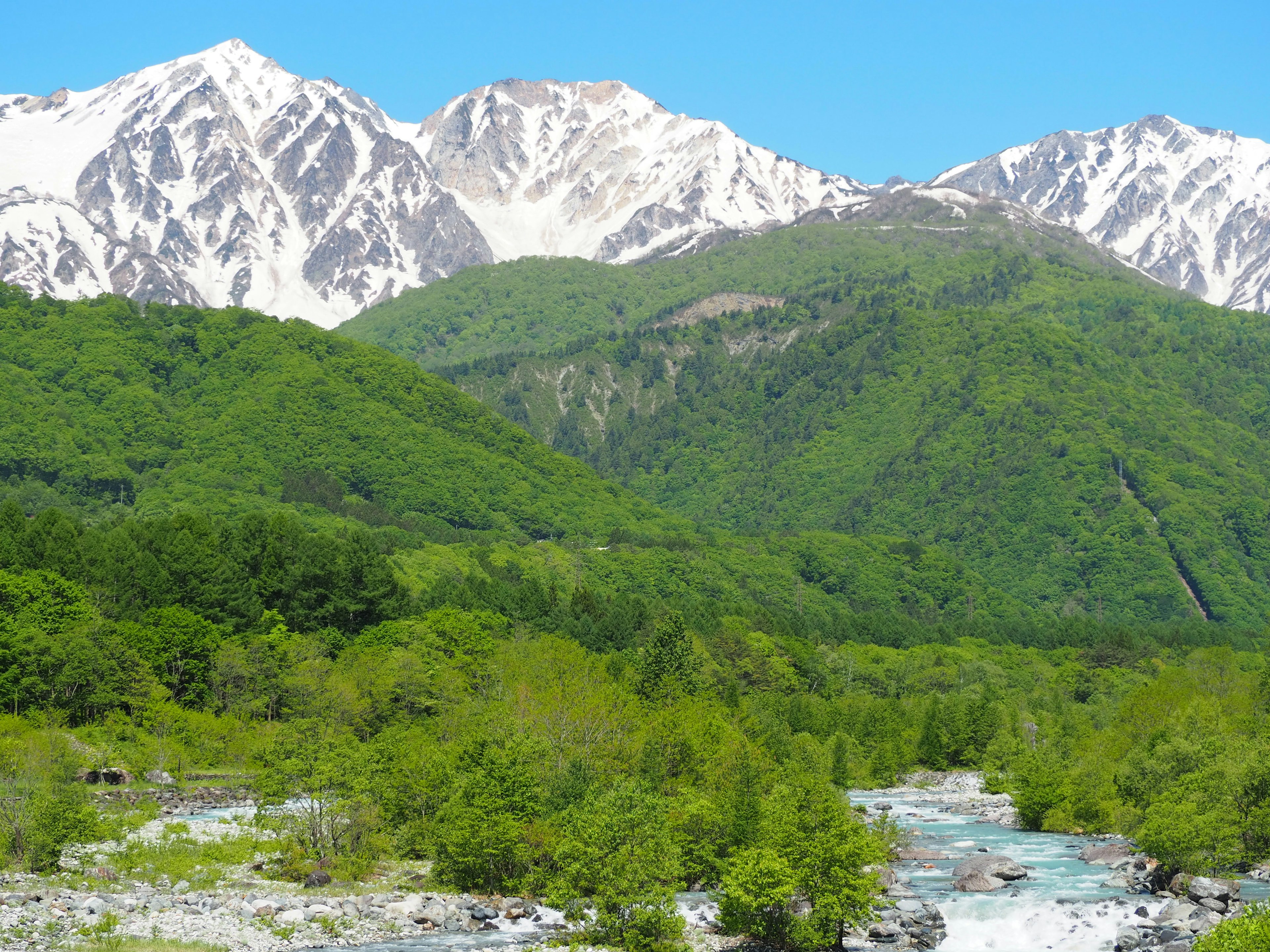 緑豊かな山々と雪を冠した峰が見える美しい風景