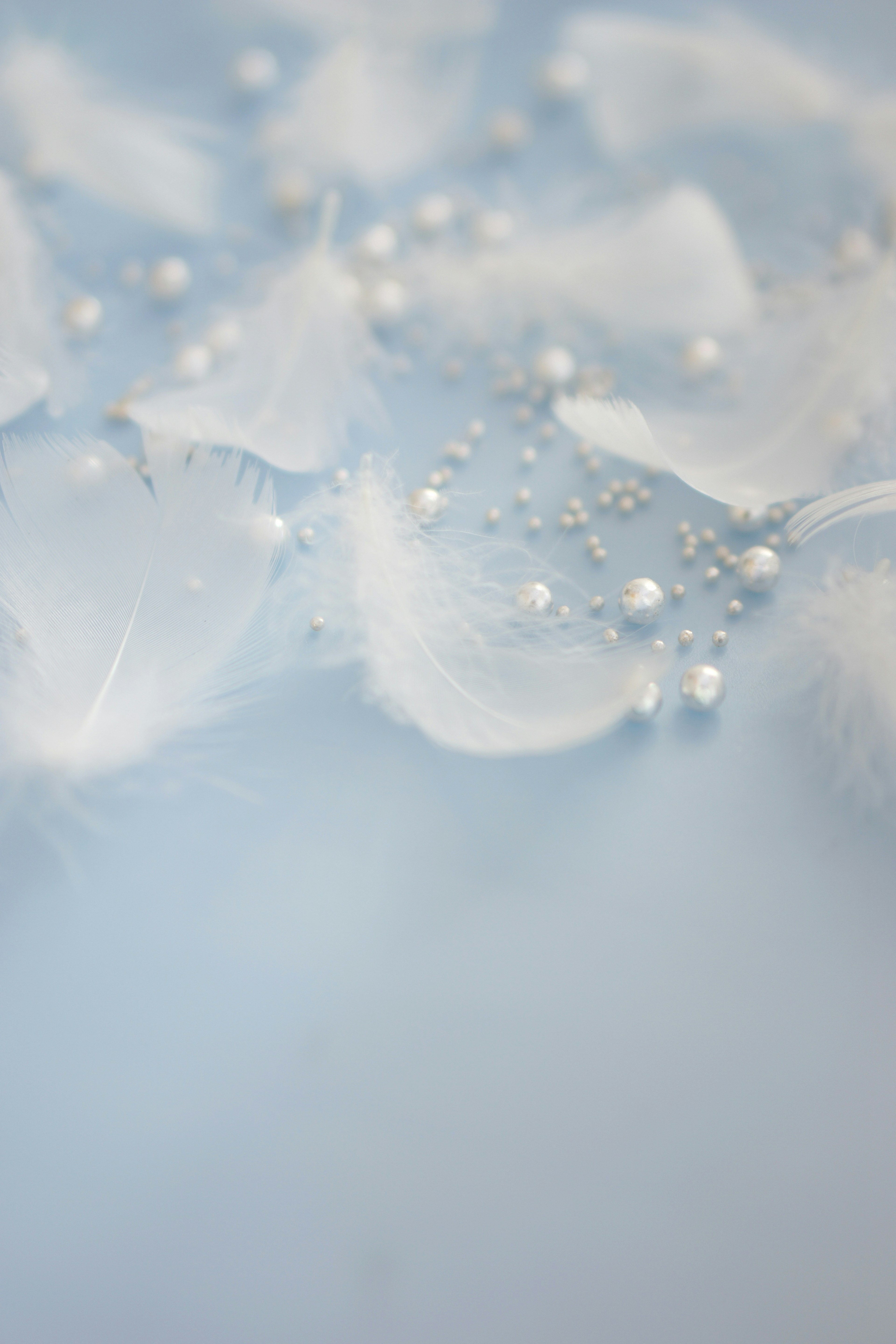 Delicate image of white petals and water droplets on a soft blue background