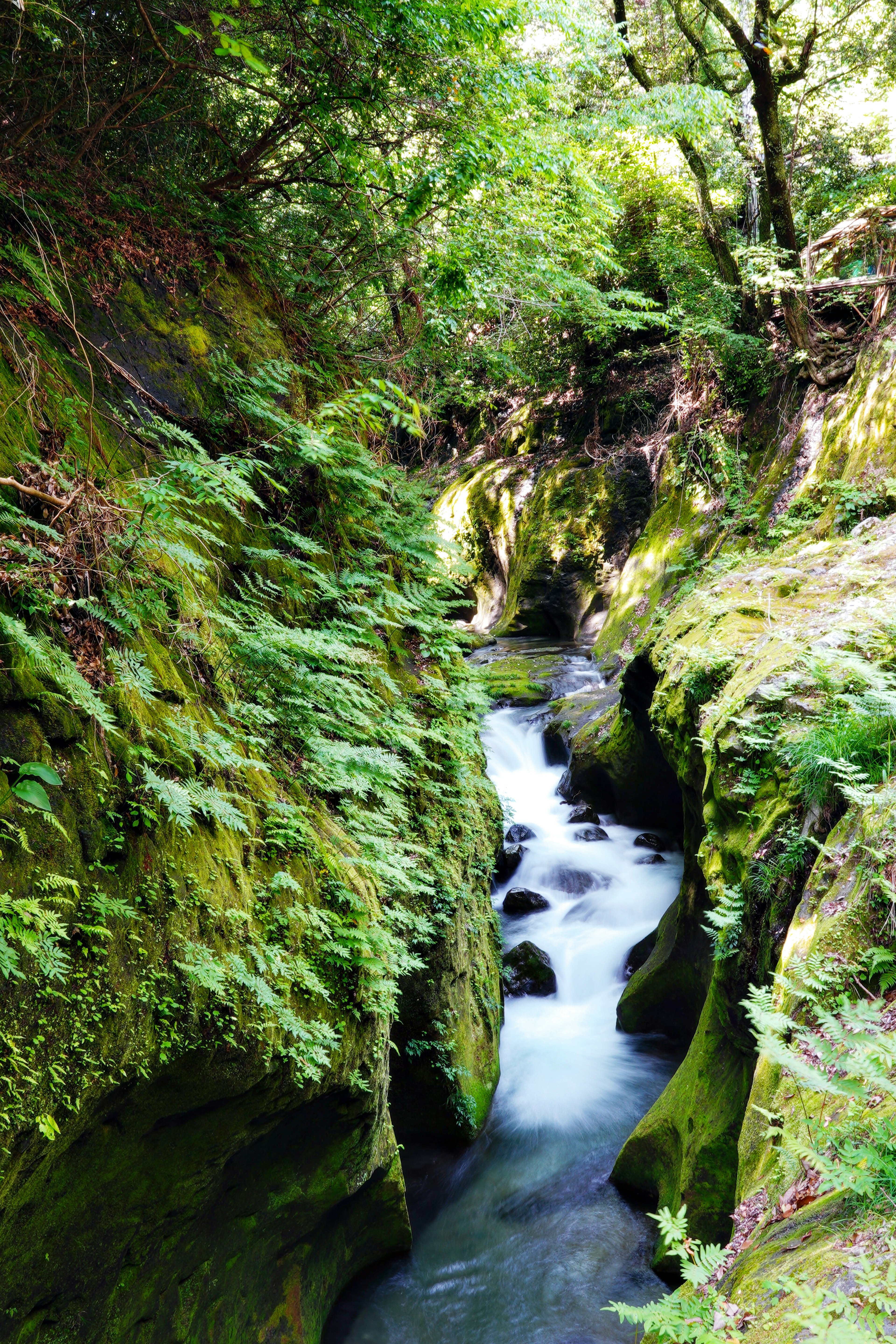 Malersicher Blick auf einen Fluss, der durch eine üppige grüne Schlucht fließt