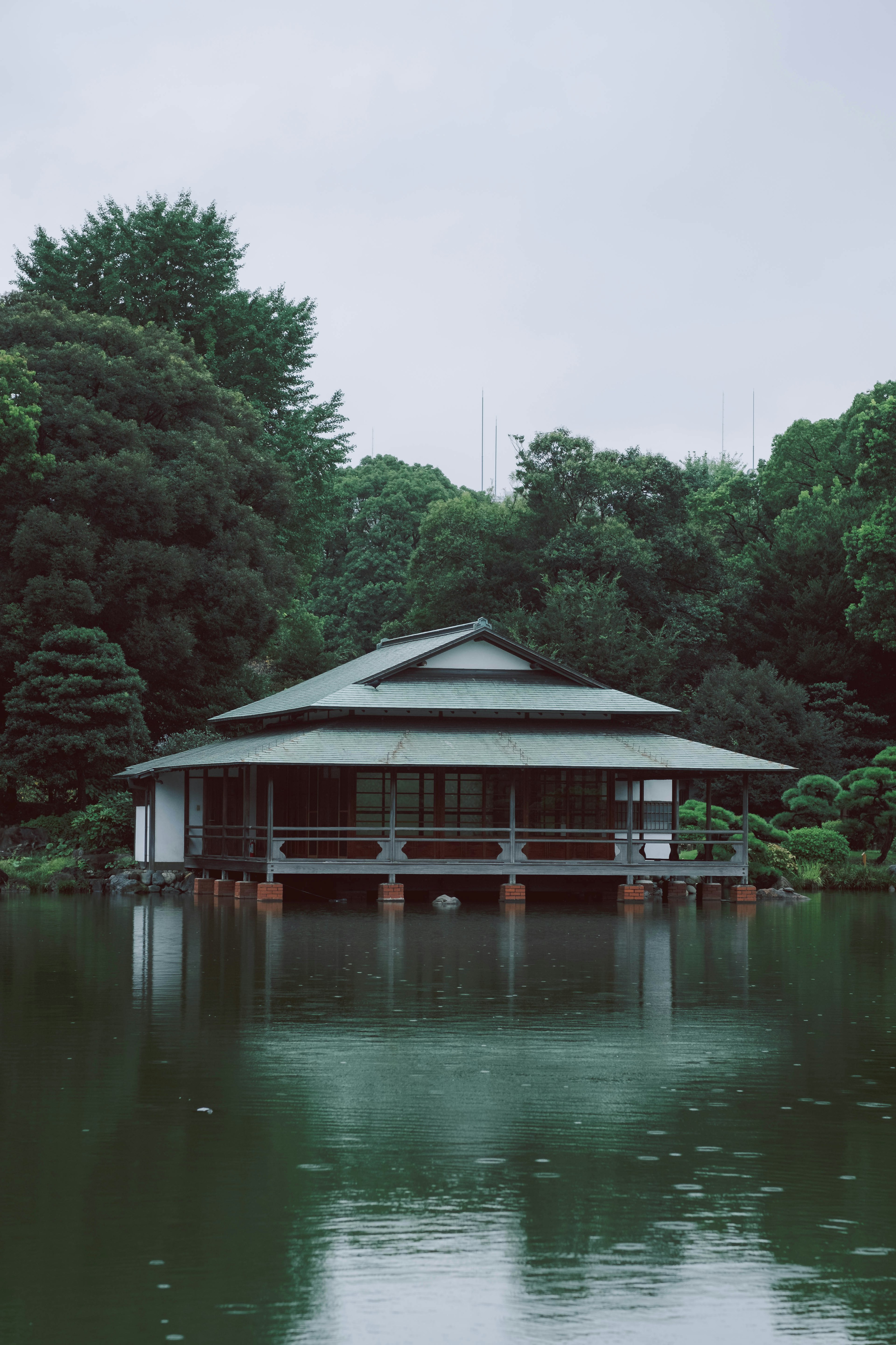 Traditional Japanese building on a pond surrounded by lush greenery