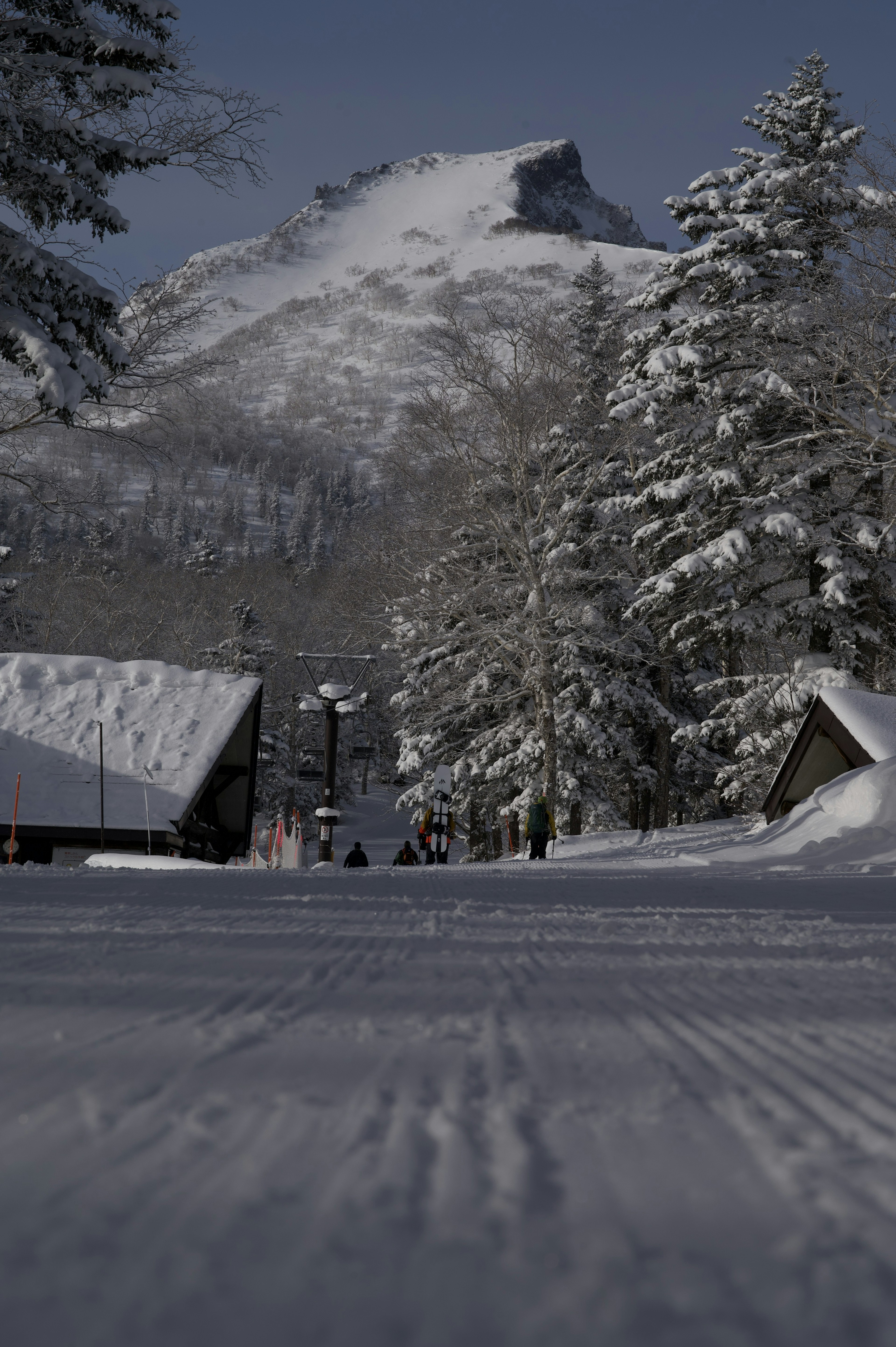 雪に覆われた木々と山が見える冬の風景