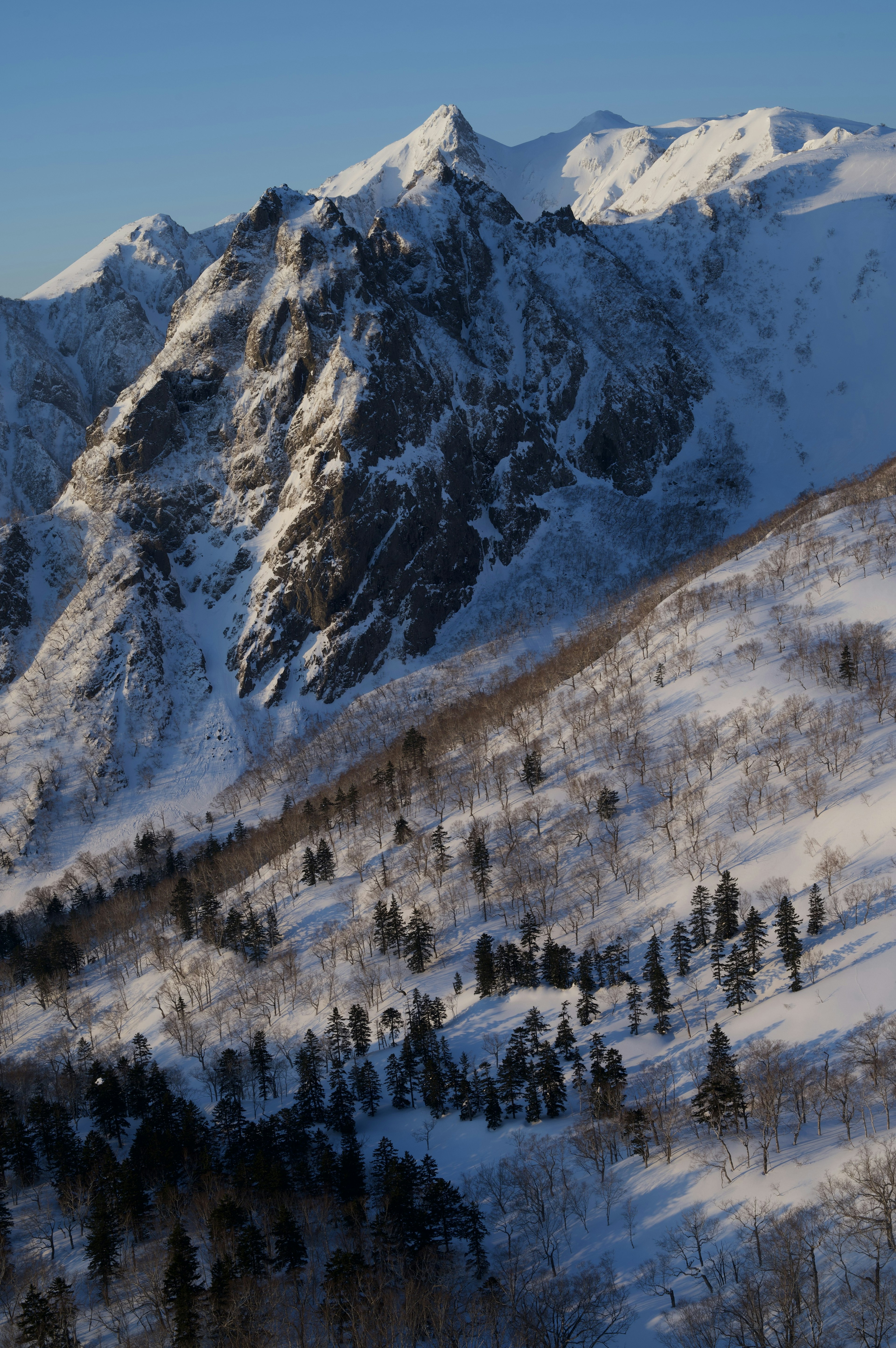 Paesaggio di montagne e foreste innevate