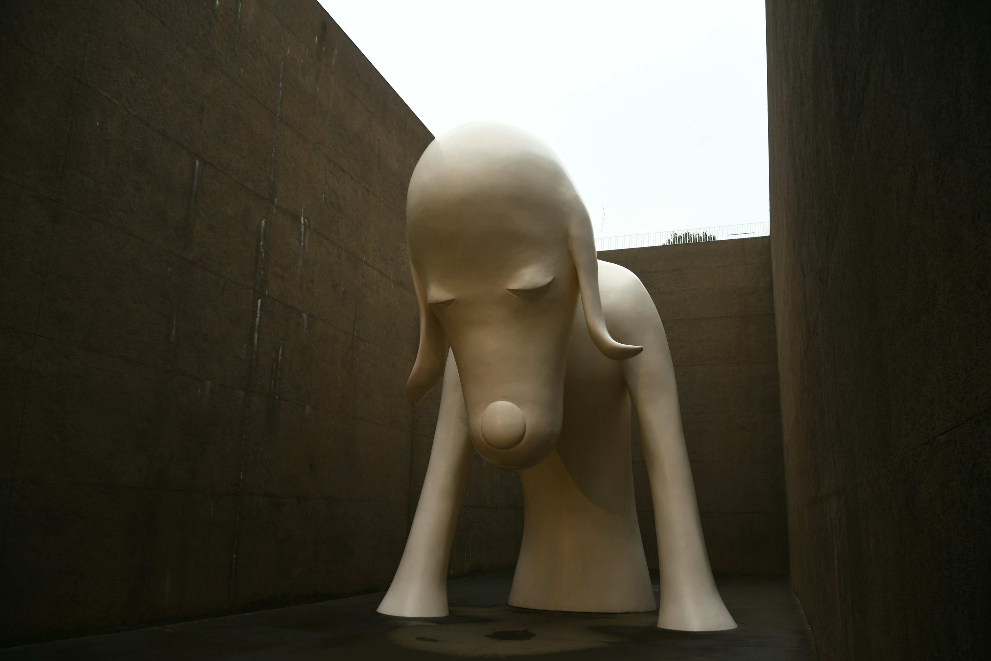 Une sculpture de chien géante entourée de murs en béton