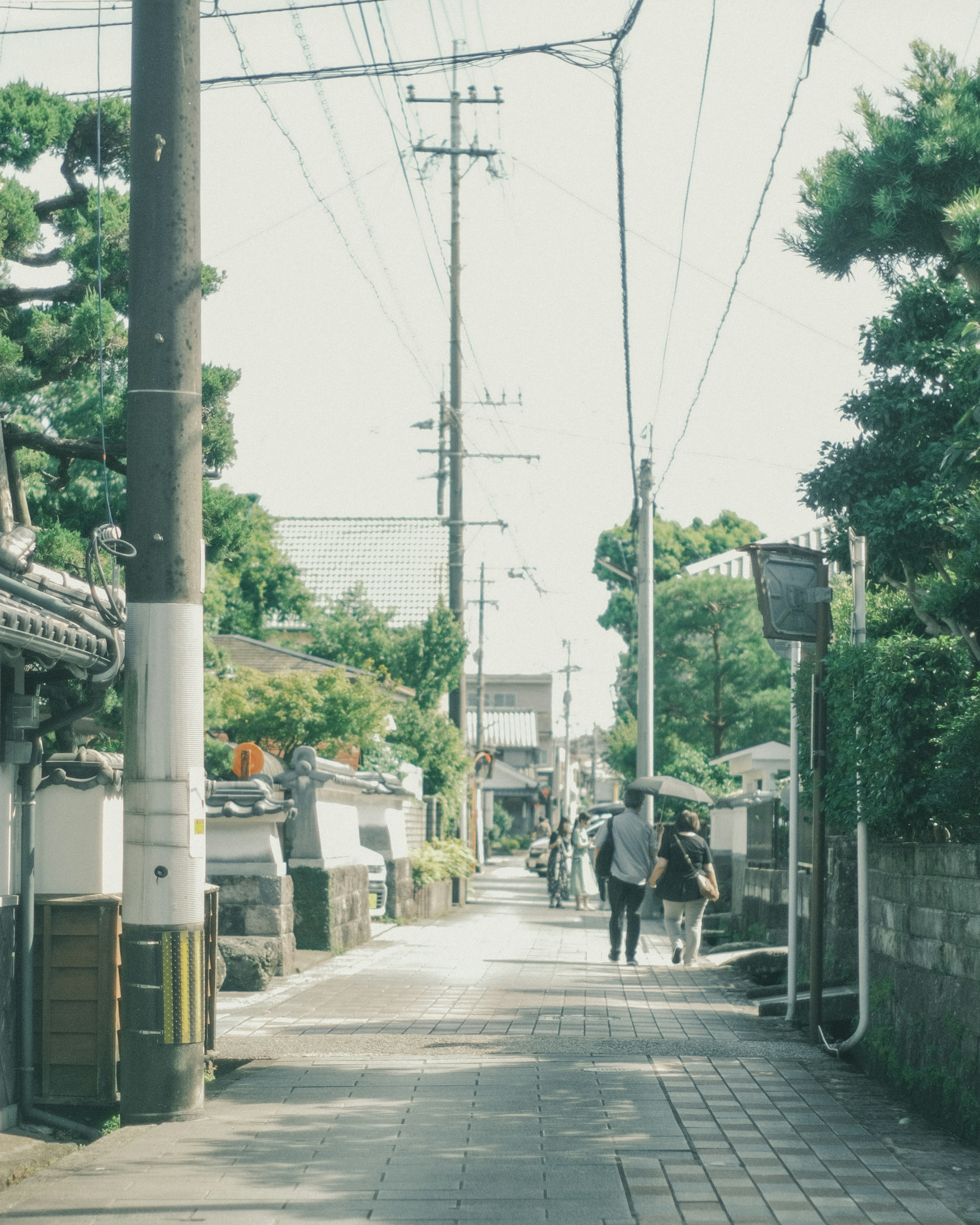 Quiet Japanese street lined with green trees and utility poles