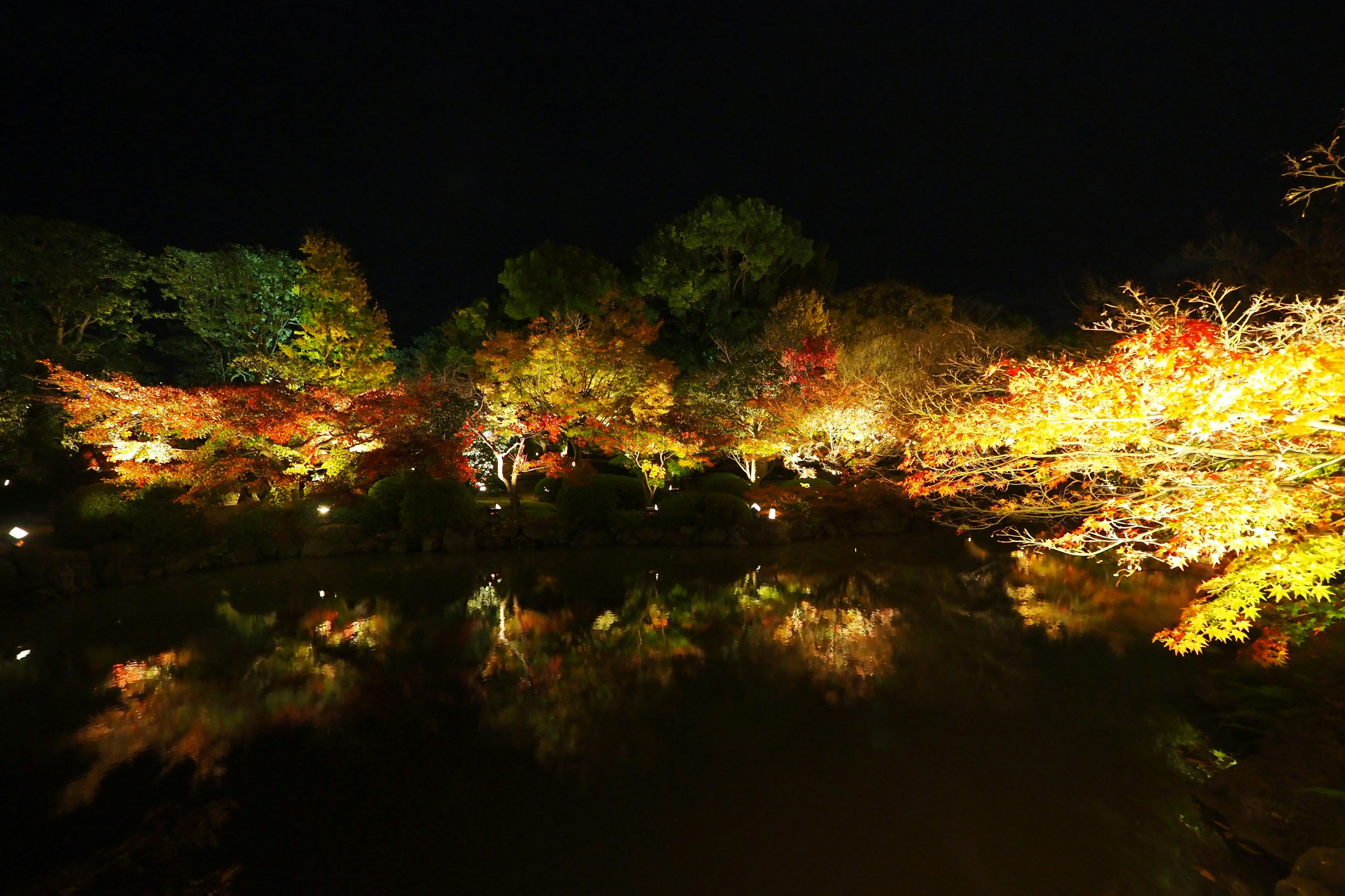 Follaje otoñal vibrante reflejándose en un parque de noche