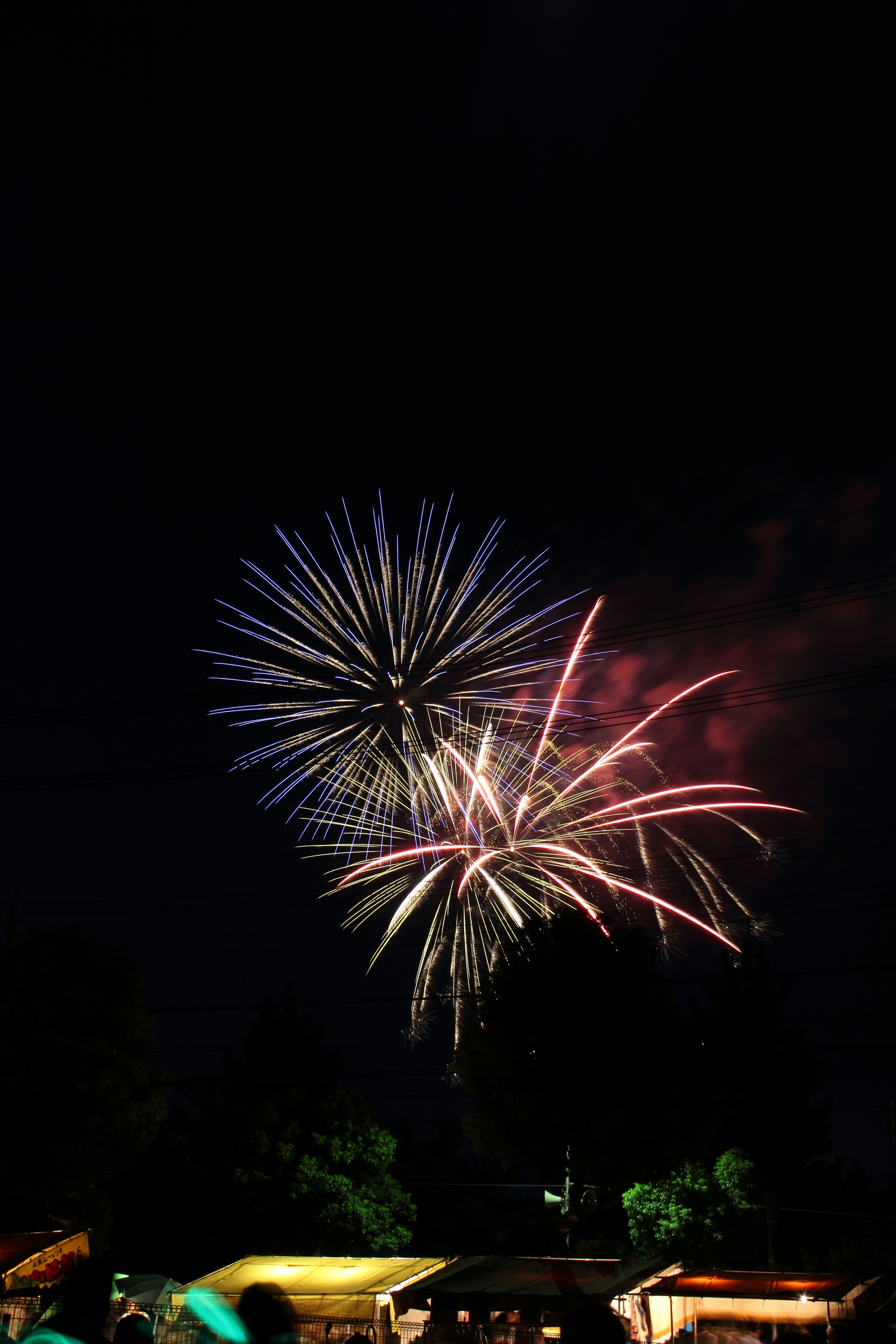 Fuochi d'artificio vibranti che esplodono nel cielo notturno con esplosioni colorate