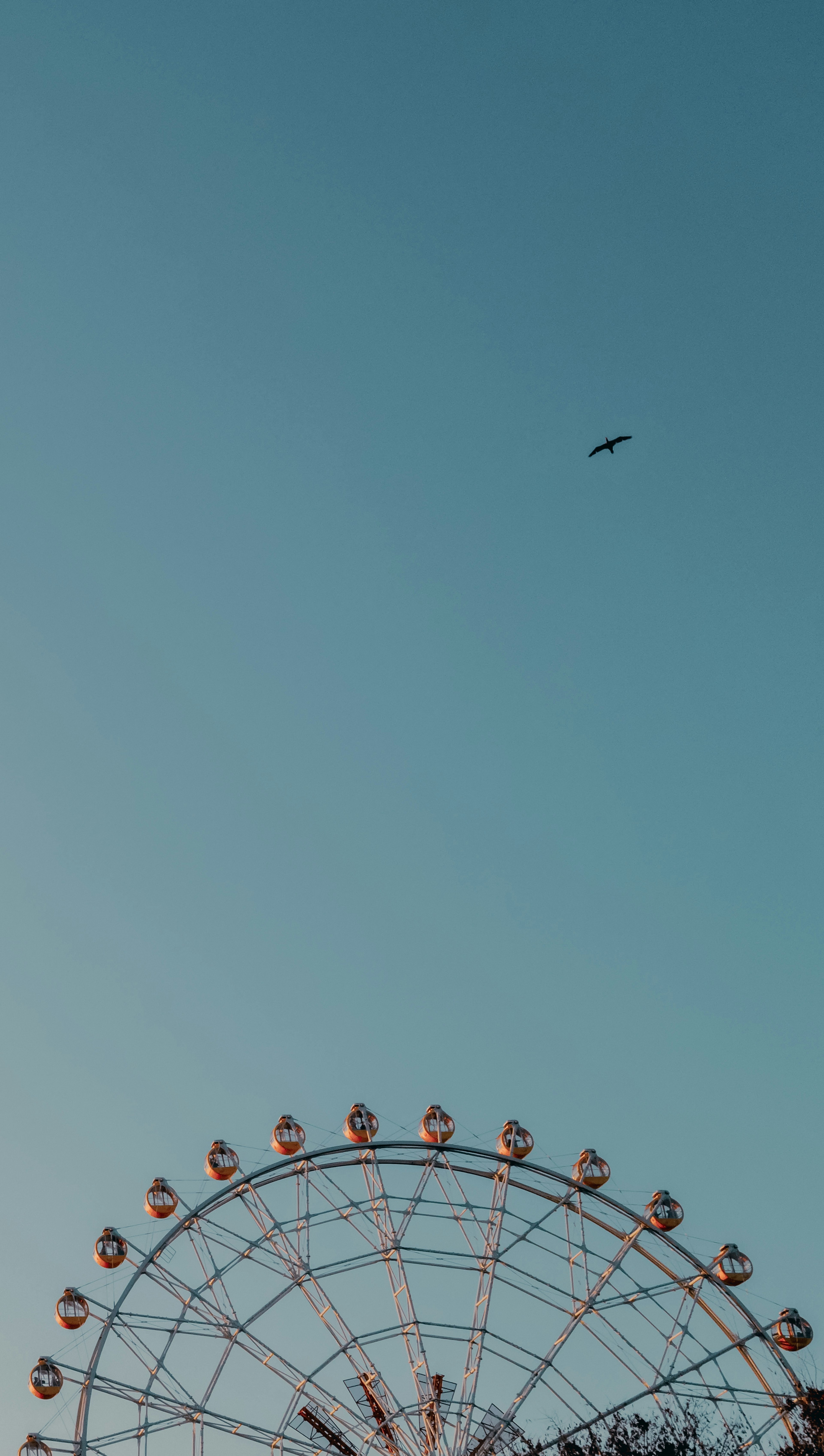 Ruota panoramica sotto un cielo blu chiaro con un aereo