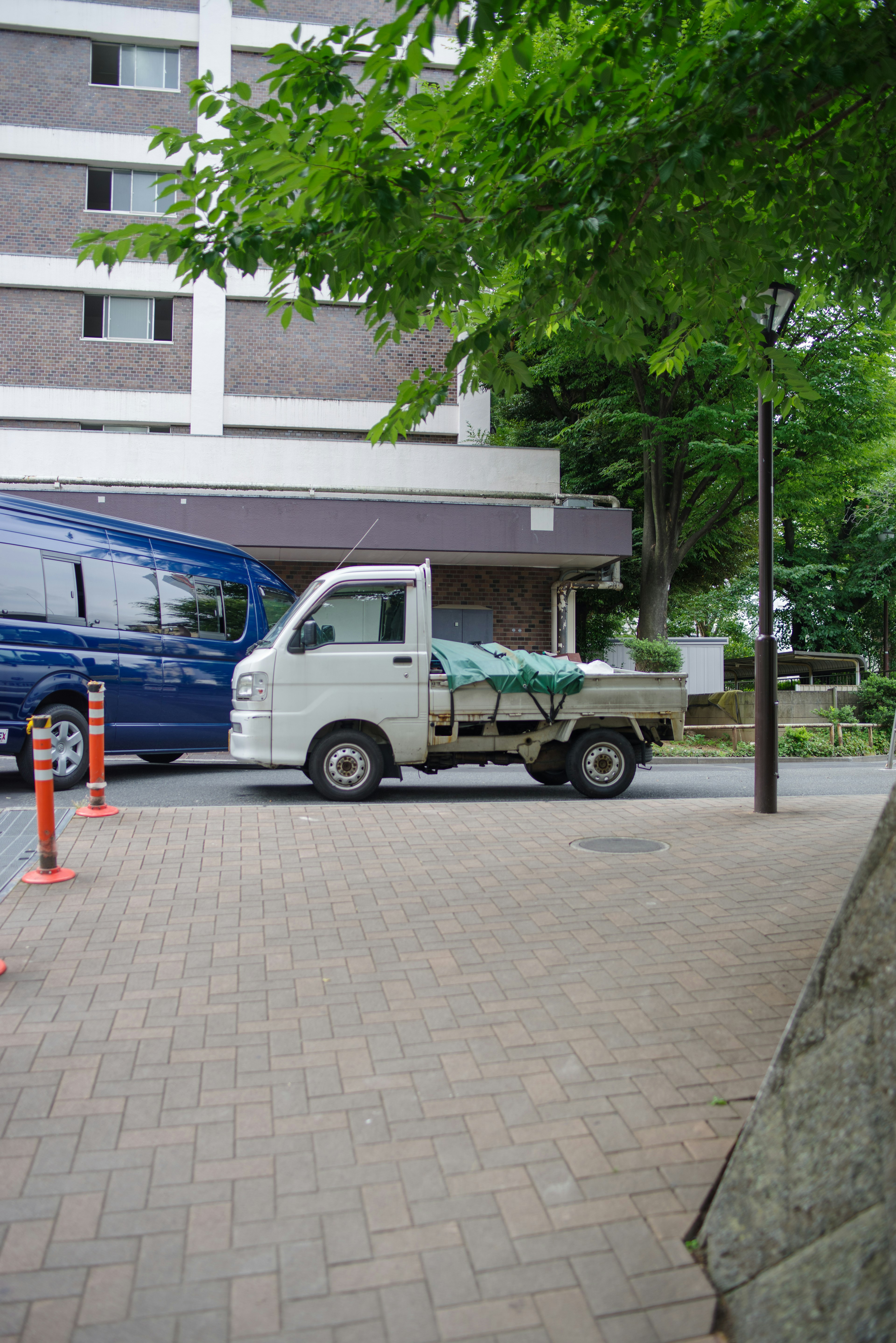 White truck driving through a green urban street scene