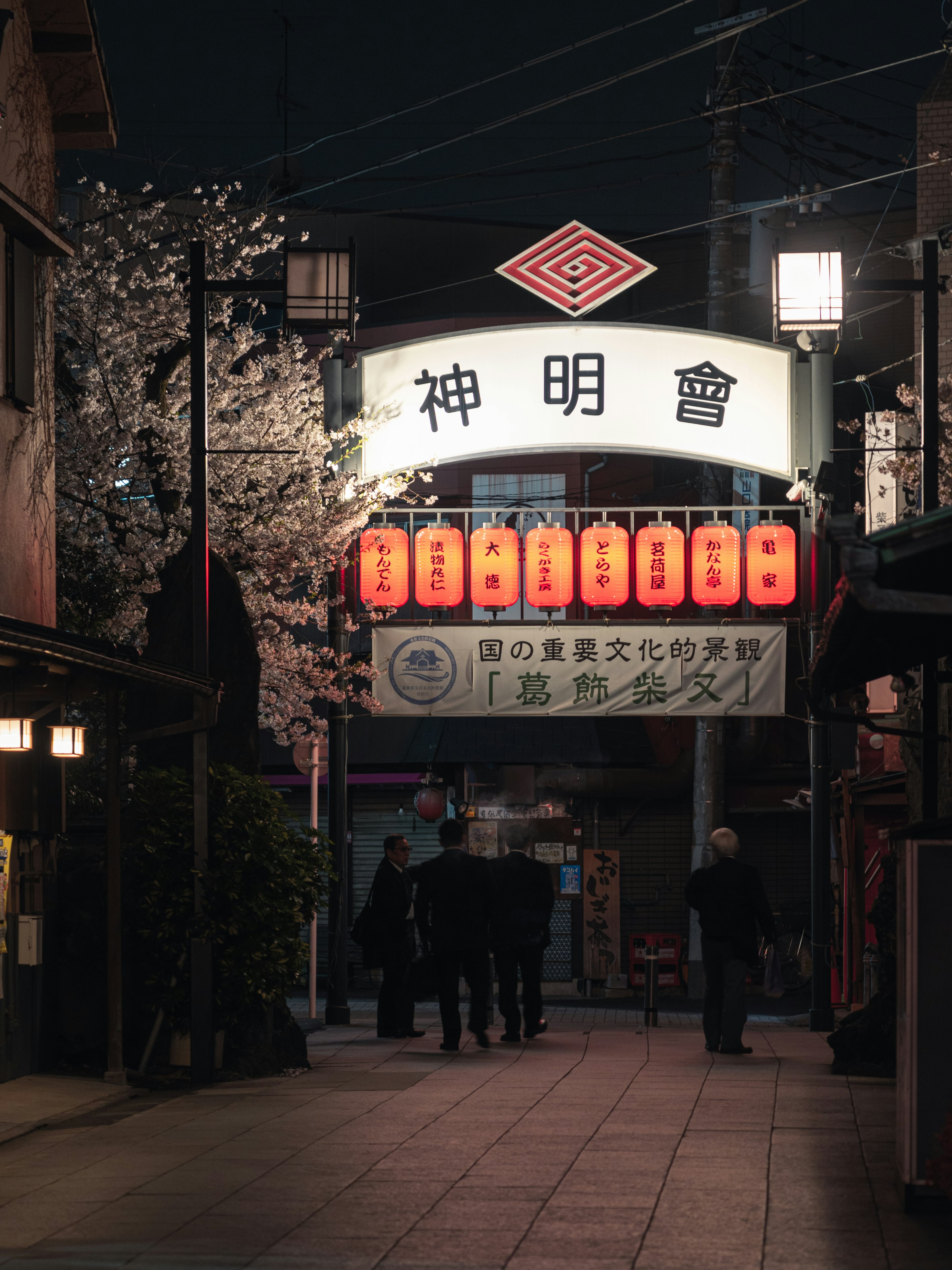 夜の街並みで灯る赤い提灯と桜の木のある神明通り