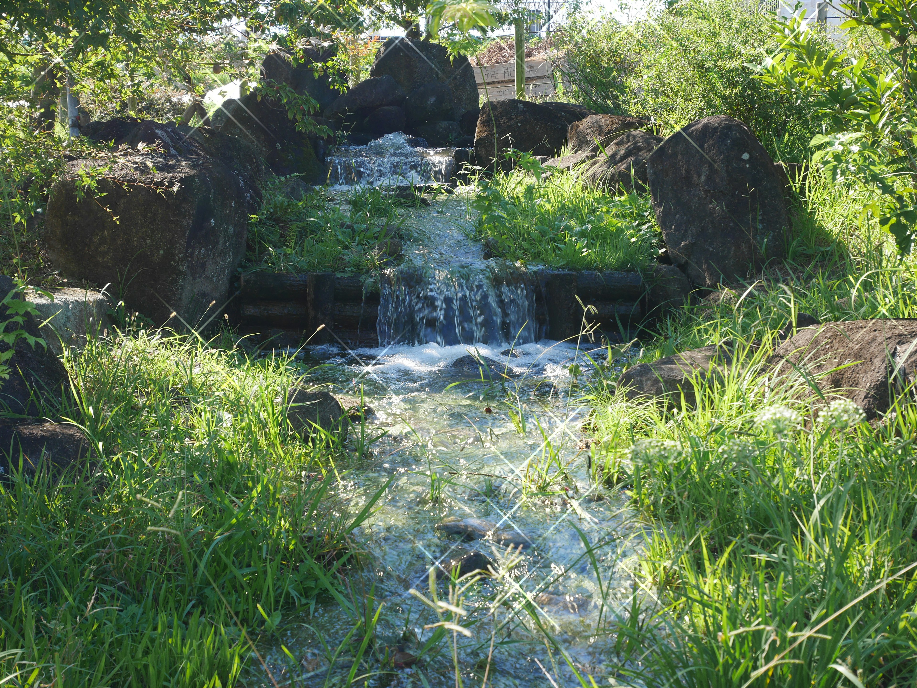 緑豊かな草と岩に囲まれた小さな滝の流れ