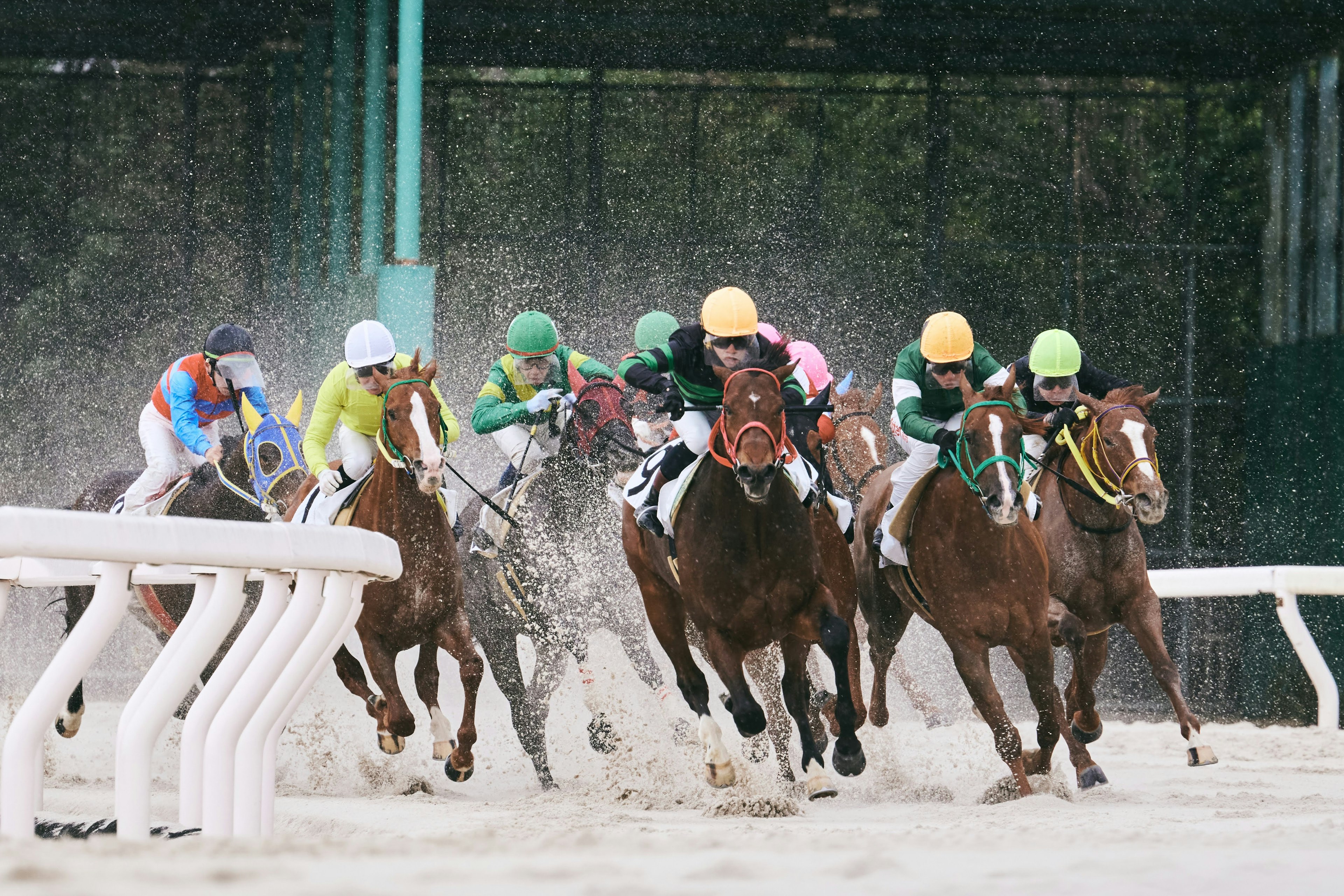 Caballos corriendo bajo la lluvia con jinetes en trajes coloridos