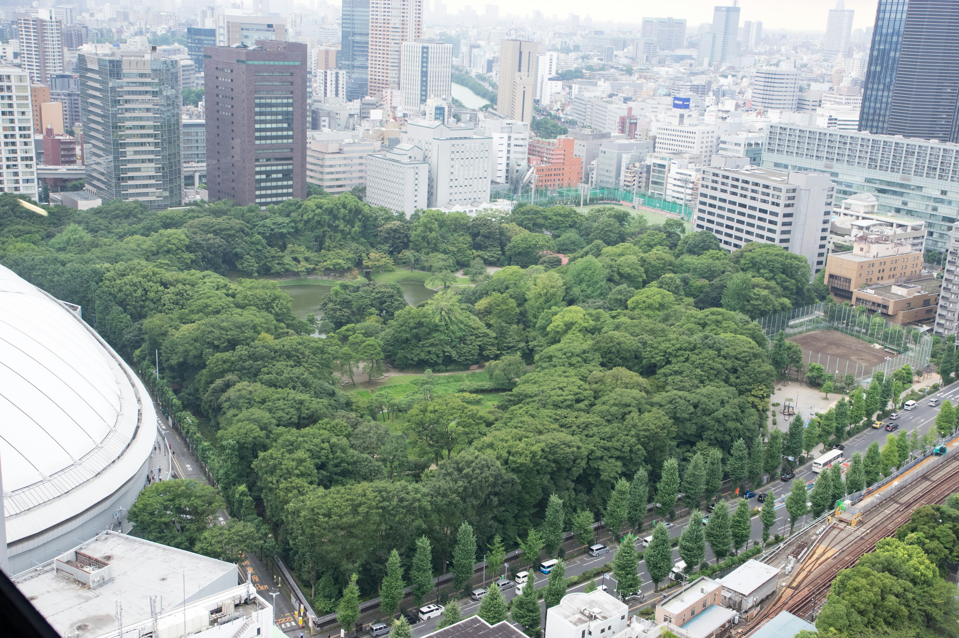 東京の緑豊かな公園の上空からの眺め 高層ビルに囲まれたエリア