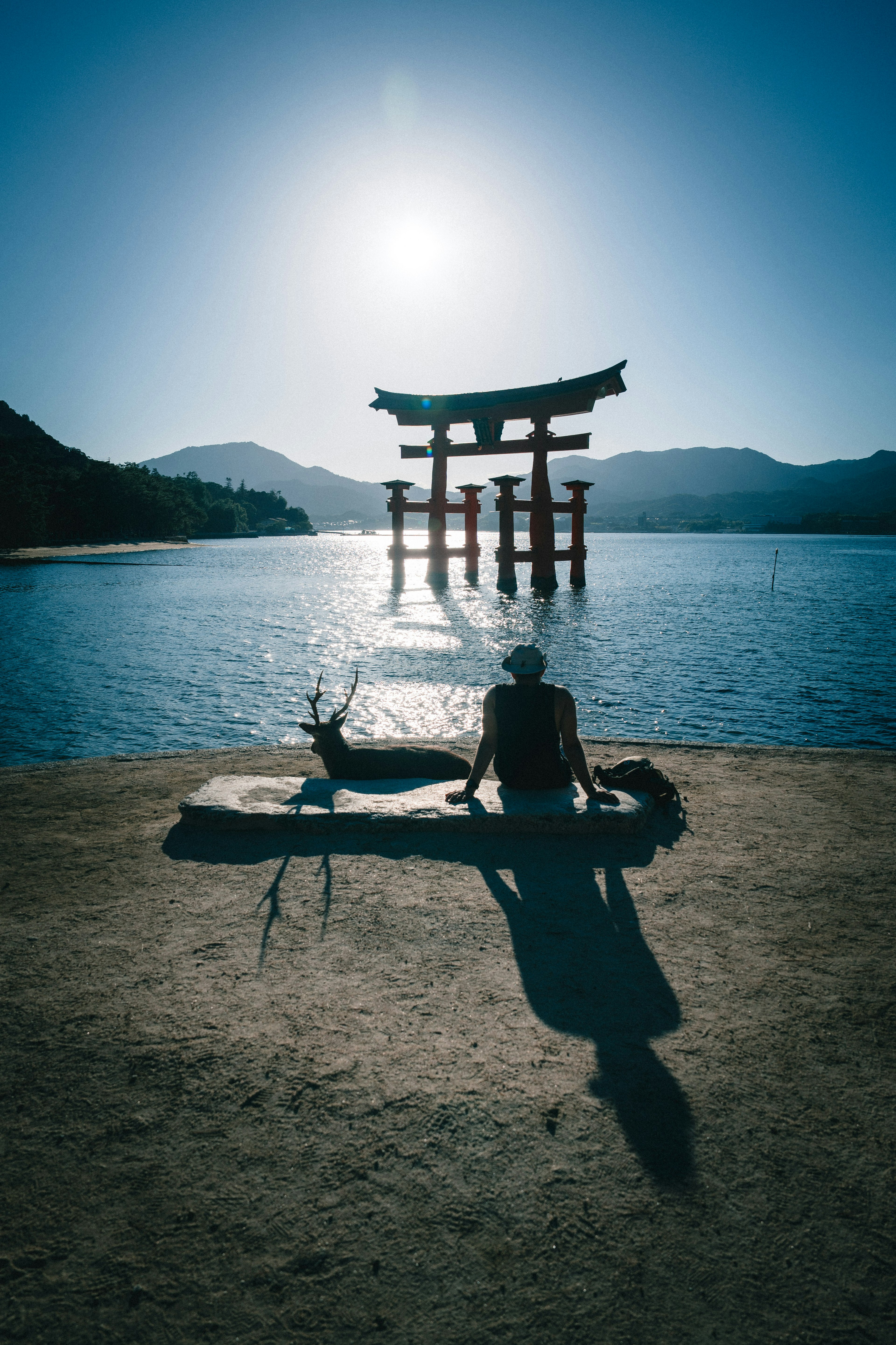 Persona meditando junto al agua con una silueta de torii