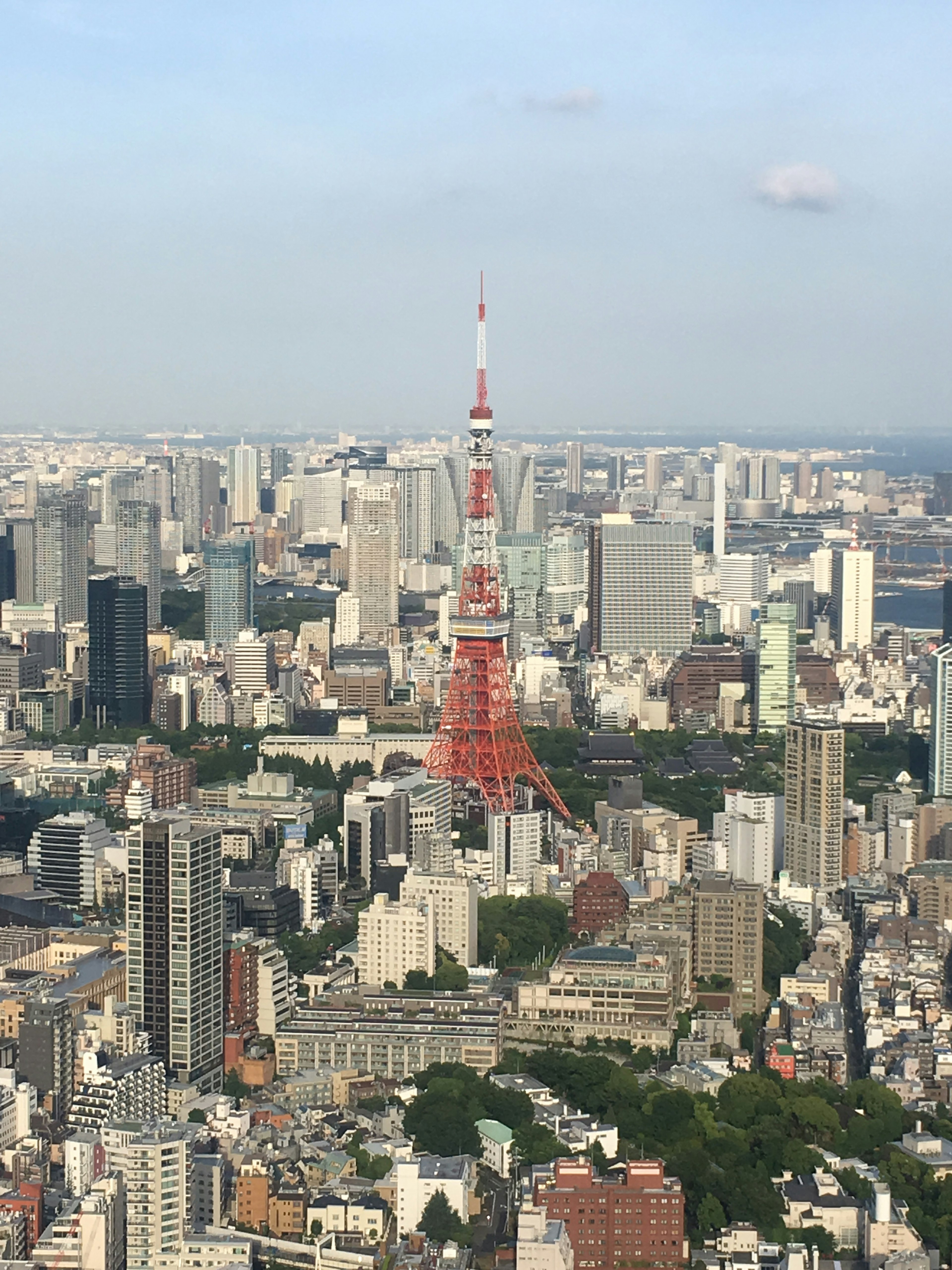 東京タワーを背景にした東京の都市景観