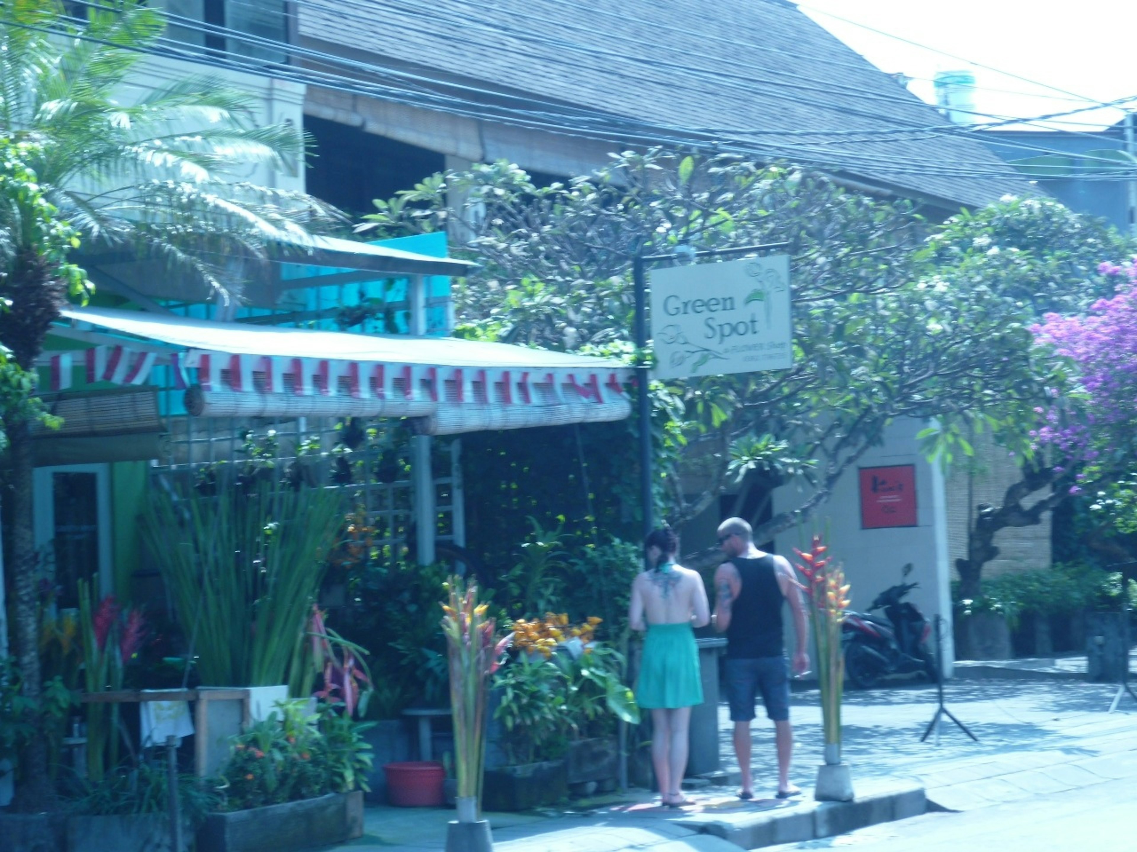 A cafe exterior surrounded by lush plants with two people looking at the menu