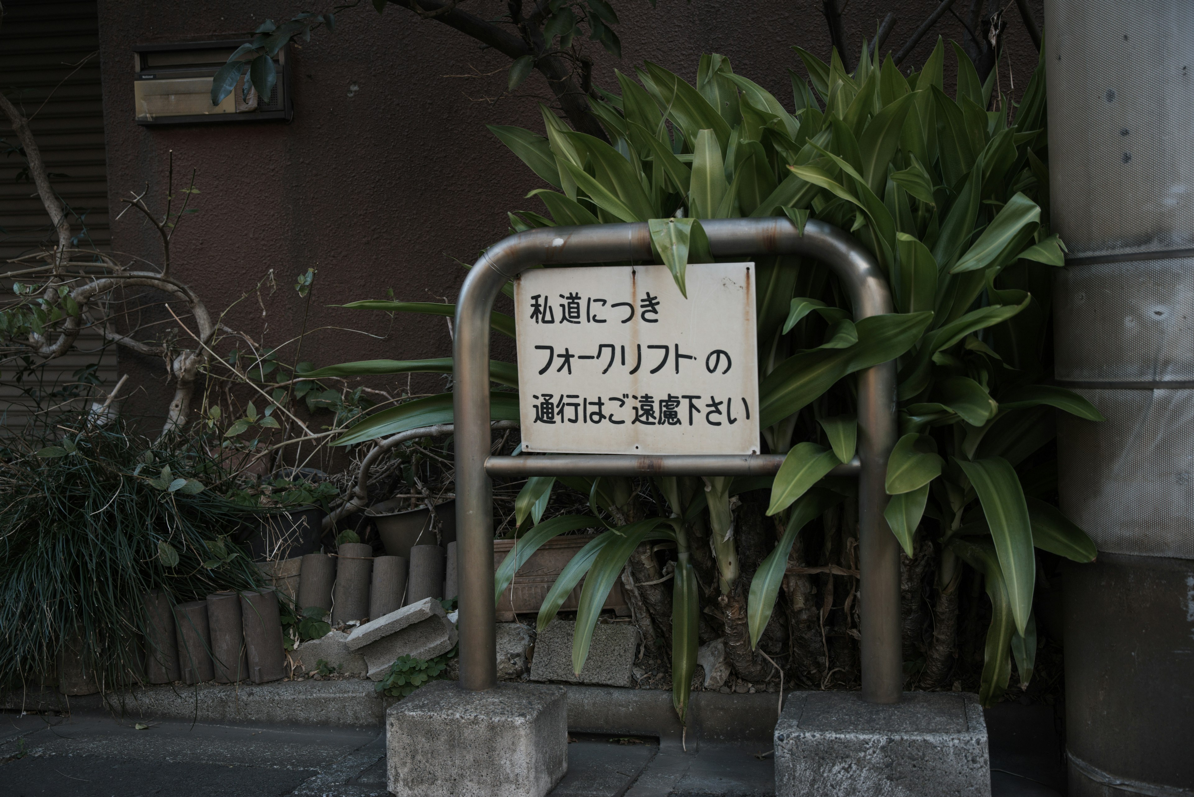 Street view featuring a sign for Forlibna surrounded by greenery