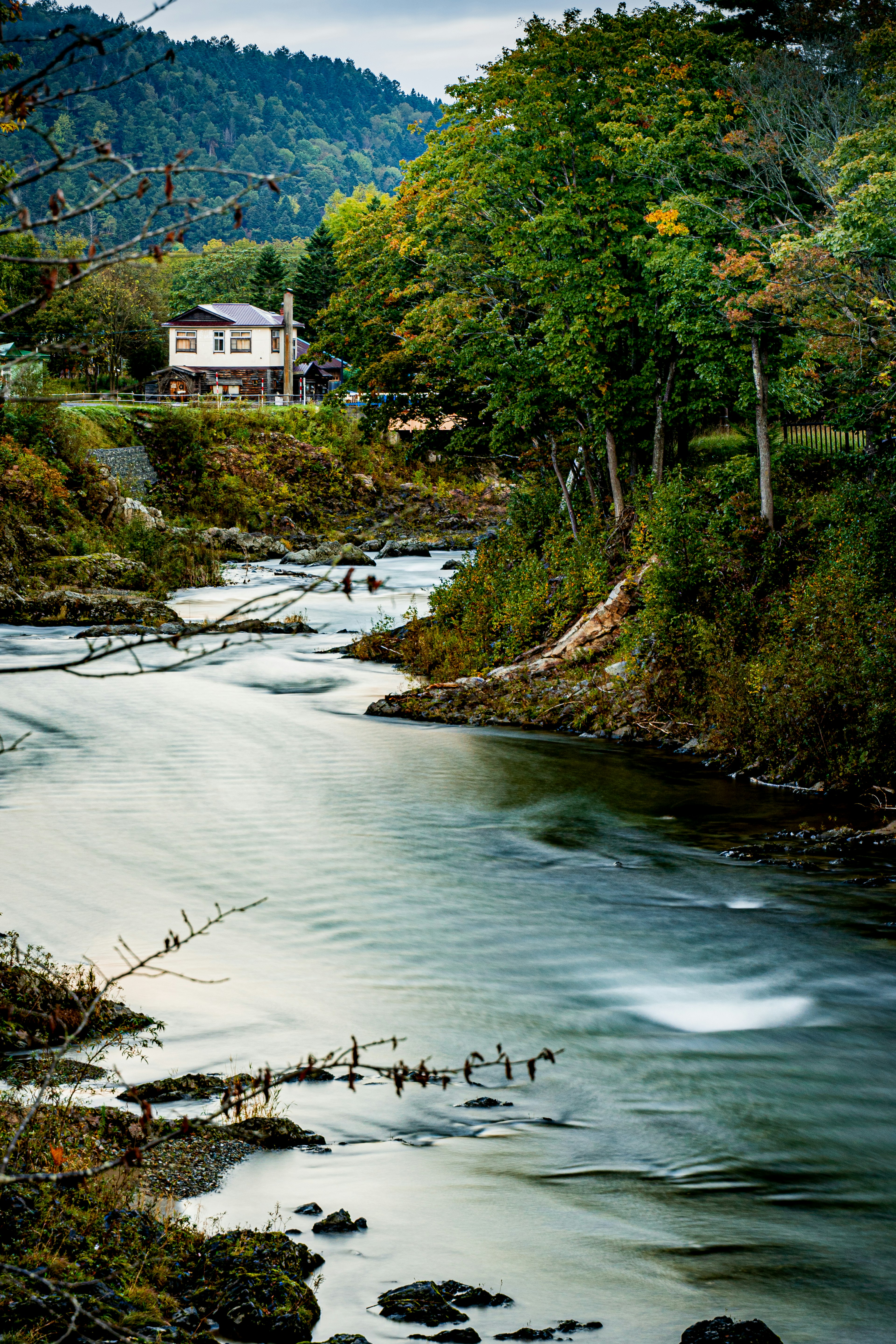 Ein ruhiger Fluss, der an einem Haus vorbeifließt, umgeben von üppigen grünen Bäumen