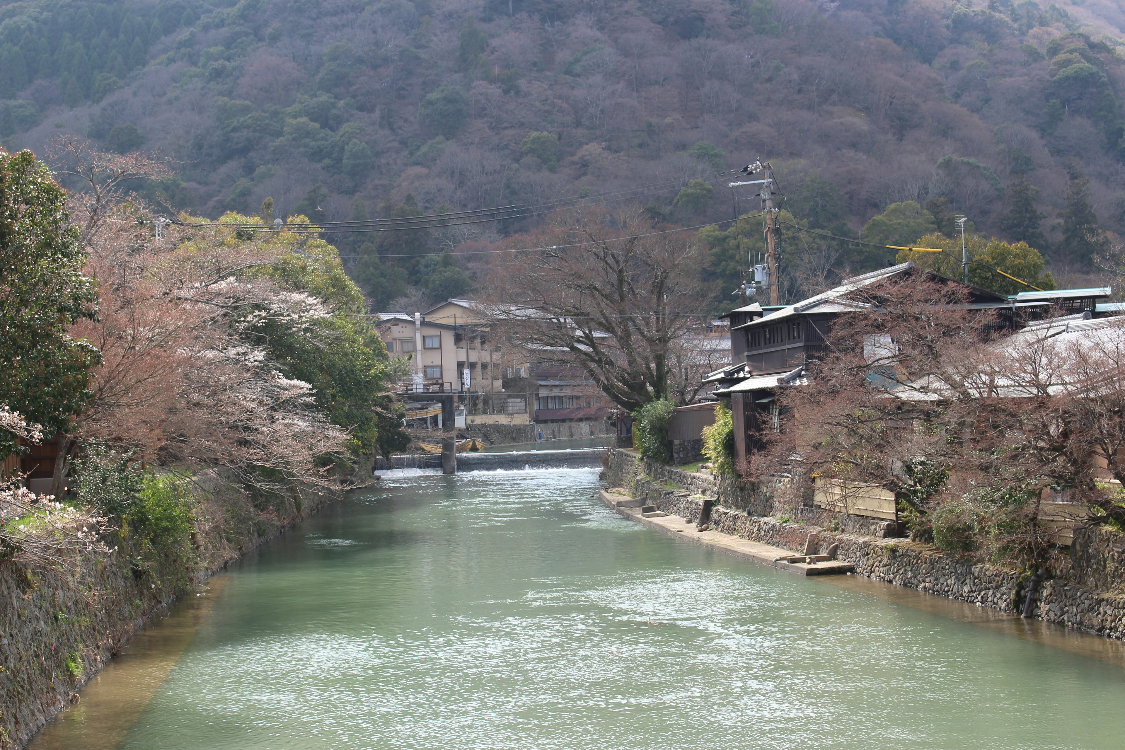 Paysage de rivière serein avec des maisons traditionnelles