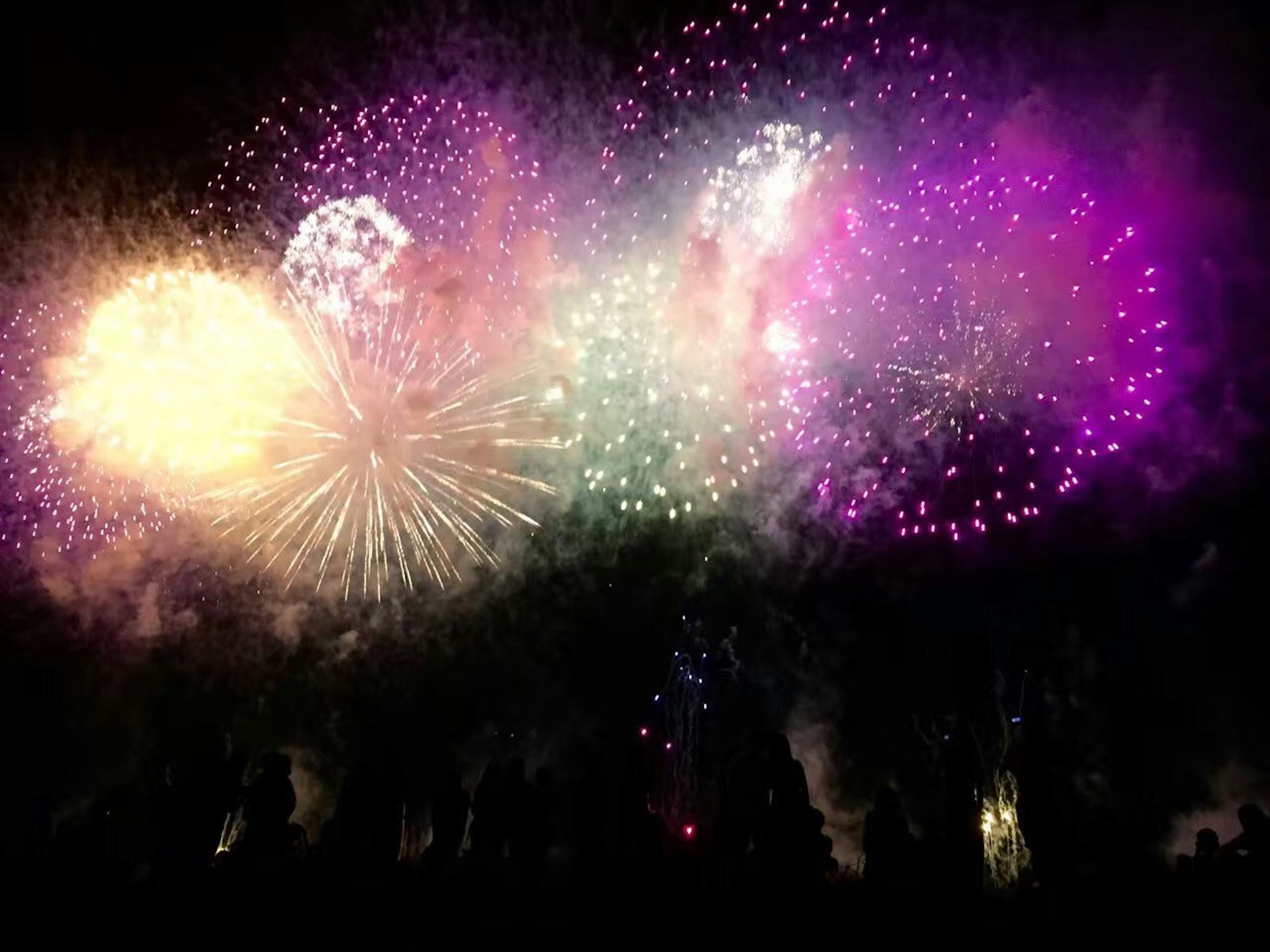 Colorful fireworks bursting in the night sky