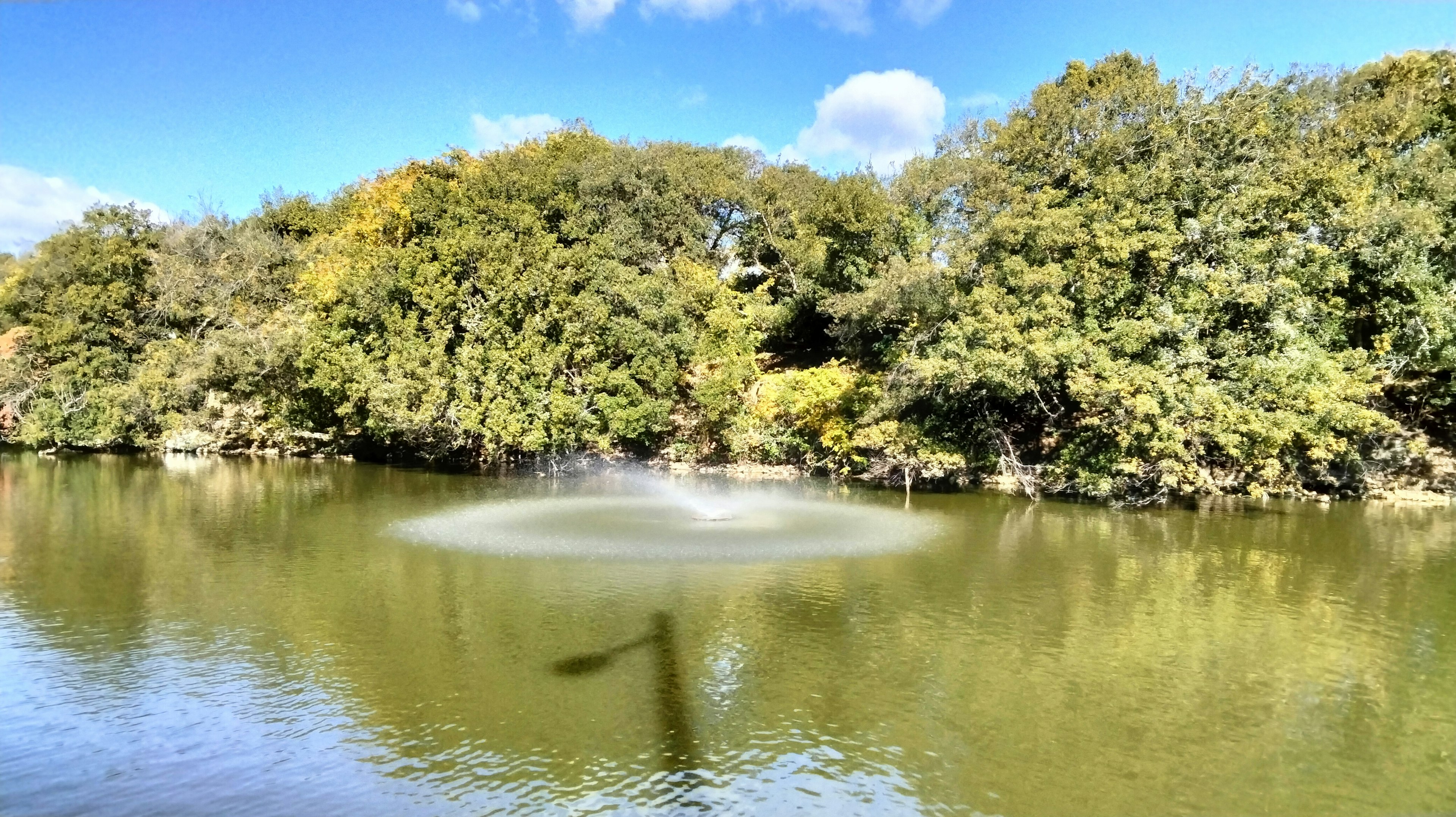 青空の下の静かな池に浮かぶ噴水と緑の木々