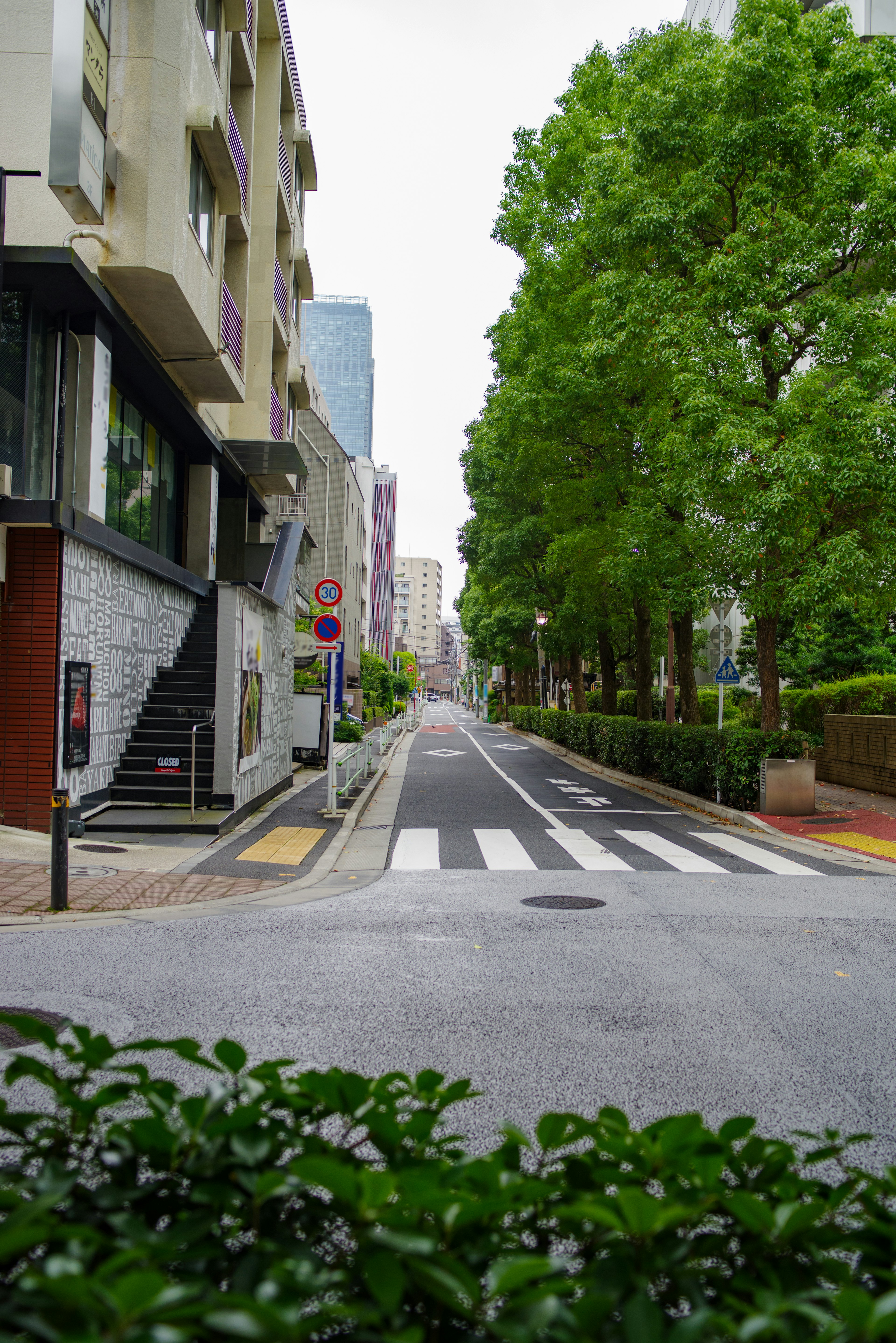 Quiet street scene with green trees and modern buildings