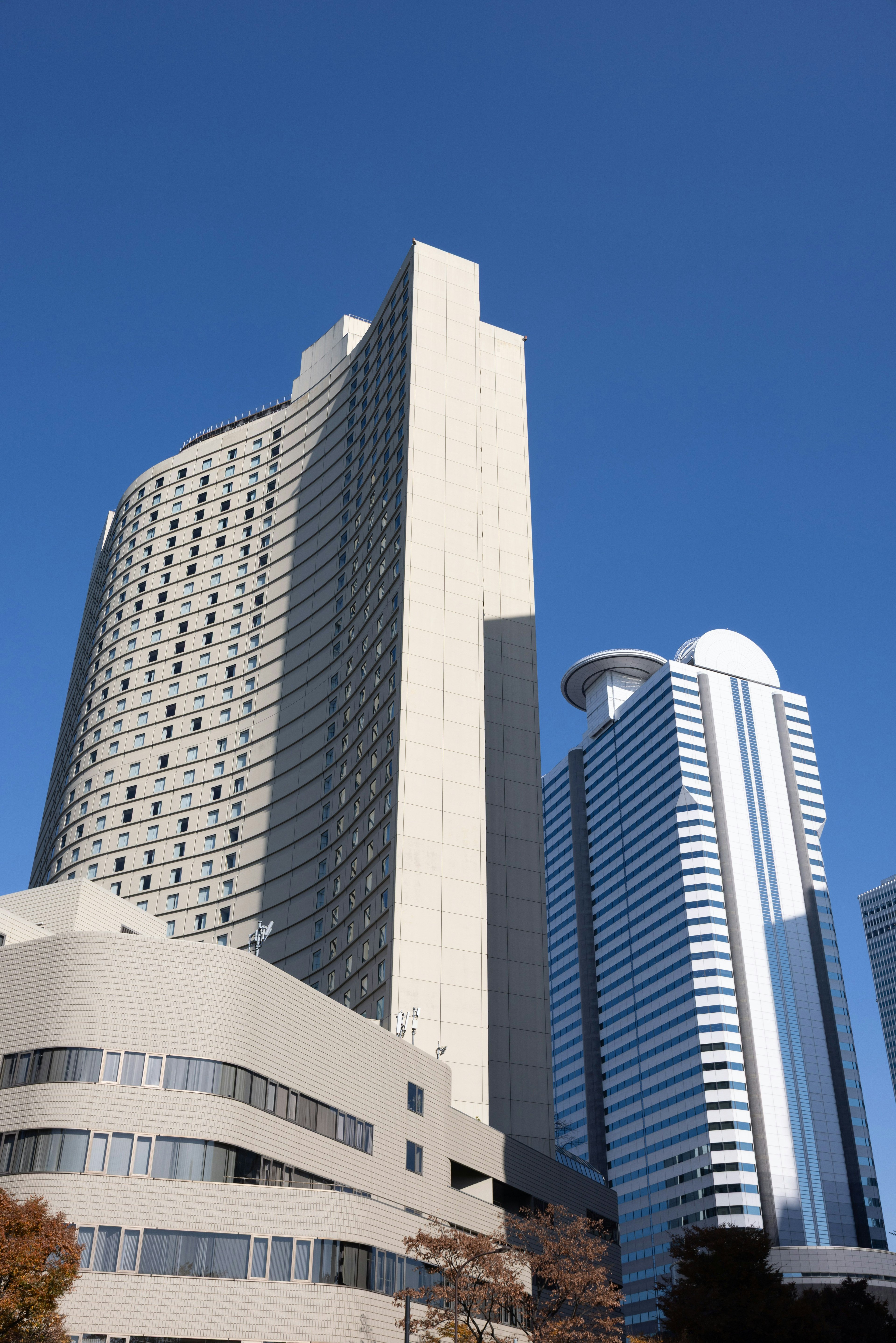 高層ビル群の近景 明るい青空の下での現代的な建築