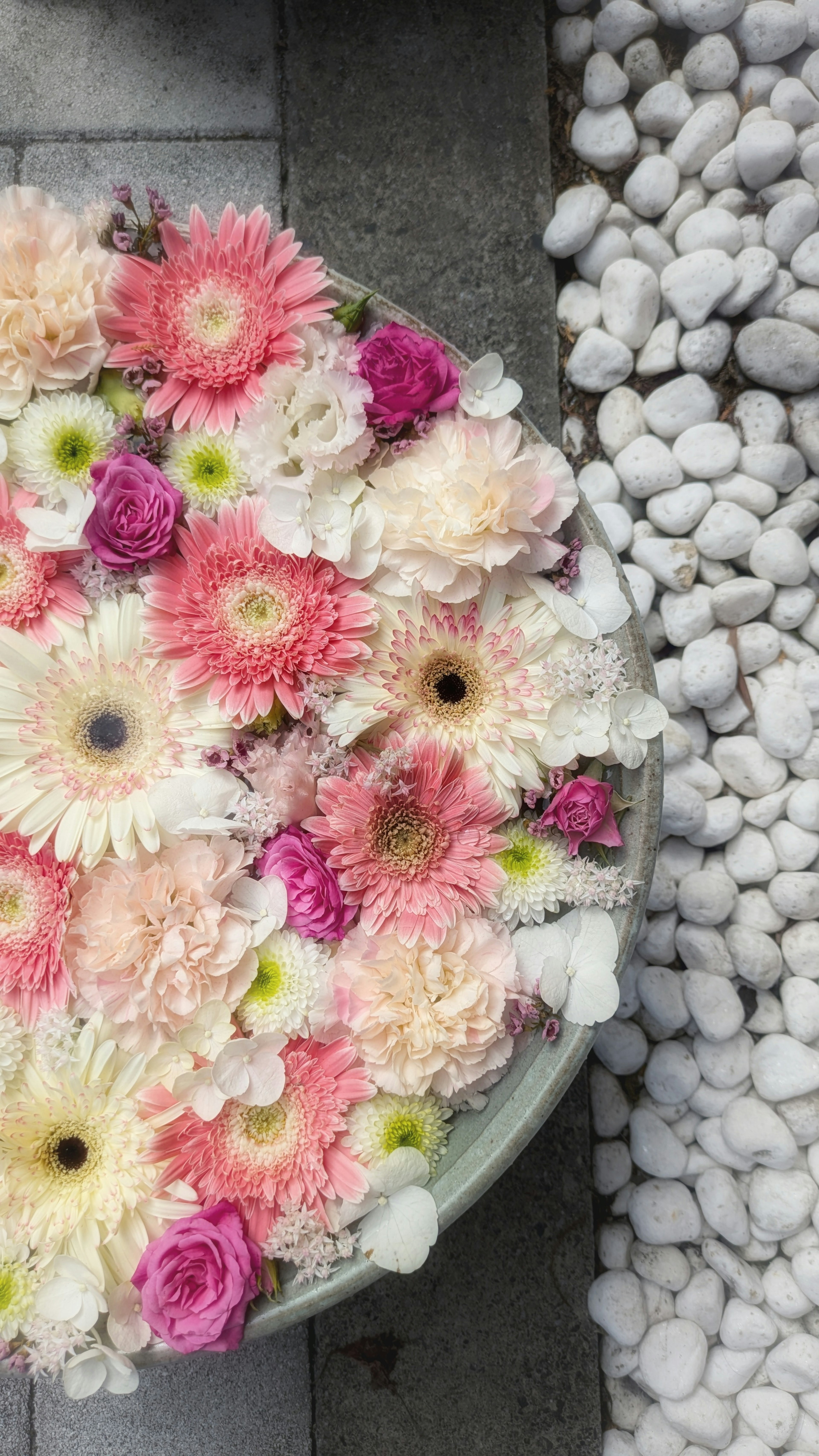 Bowl filled with colorful flowers and white pebbles background