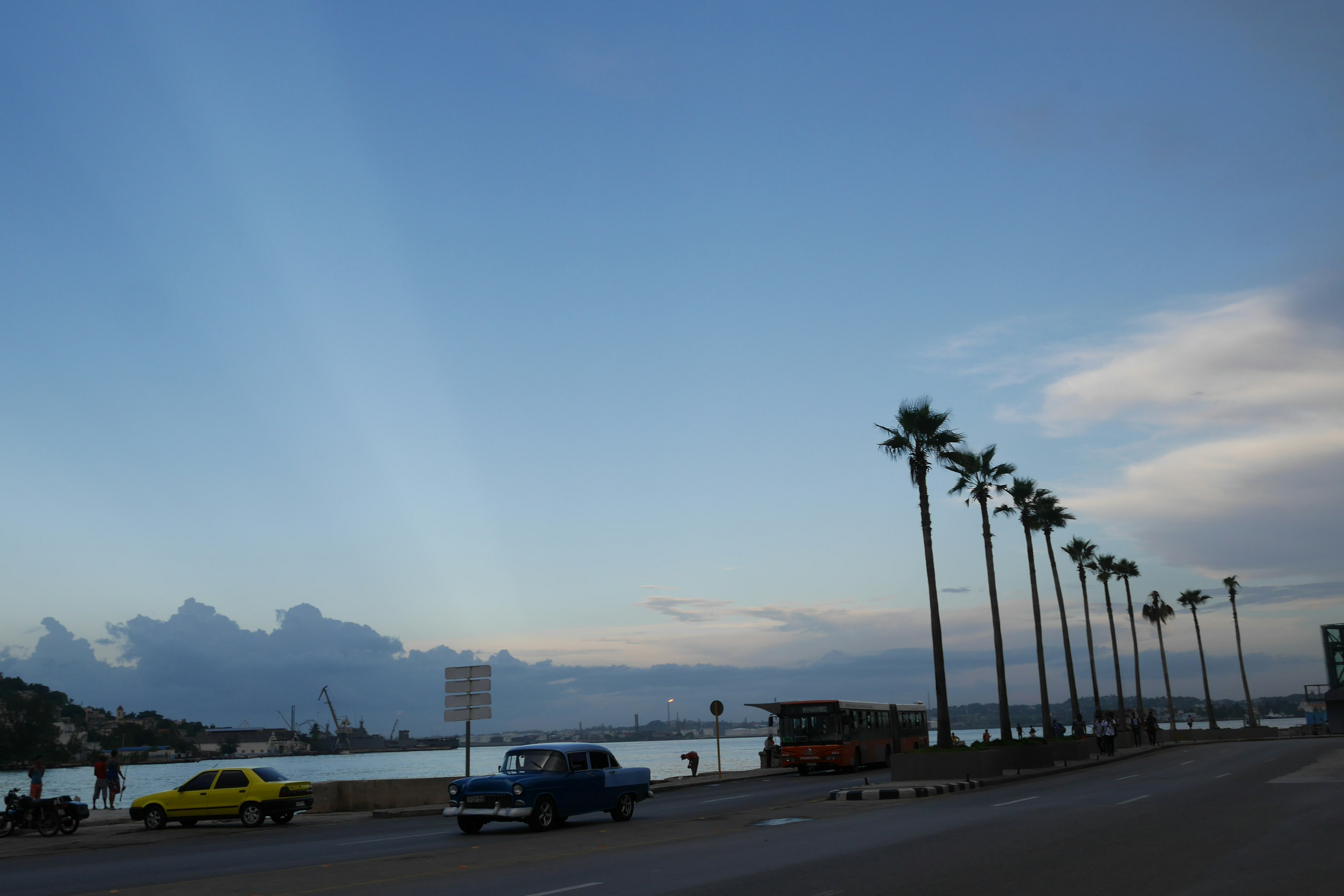 海岸公路旁的棕榈树和蓝天