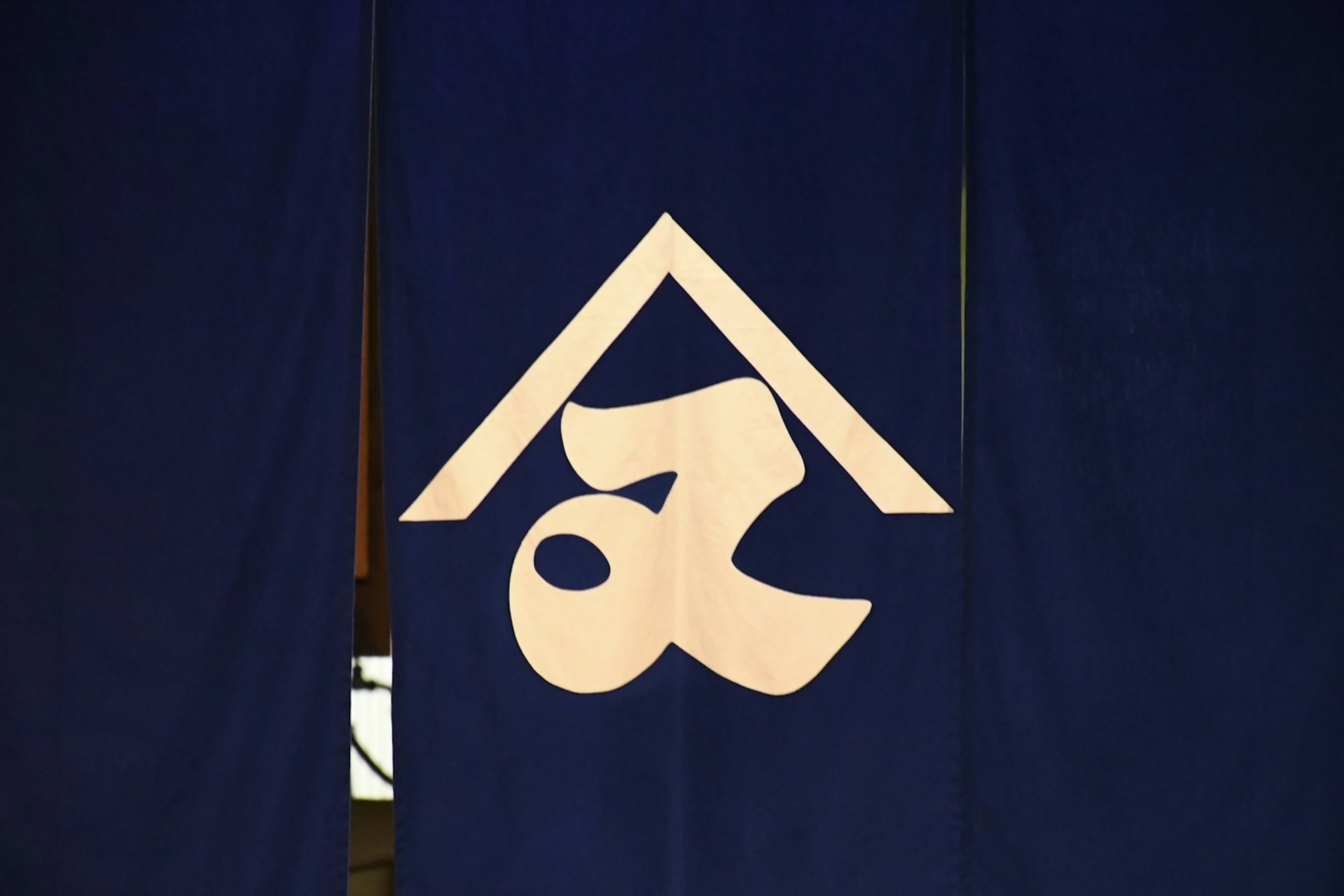 Blue curtain featuring a white house symbol and unique character design