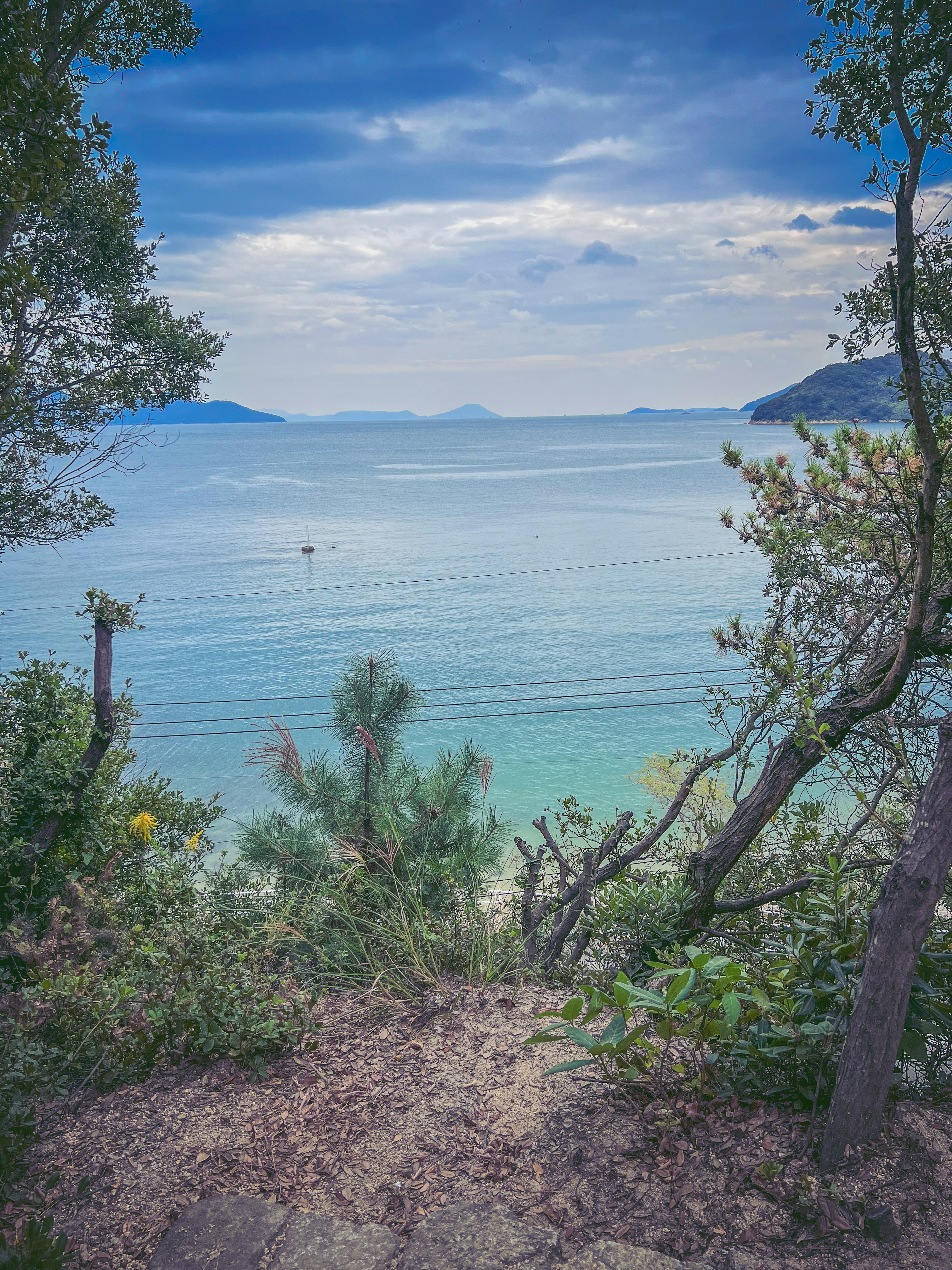 Pemandangan laut yang tenang dengan langit biru dikelilingi oleh tanaman hijau subur dan air jernih