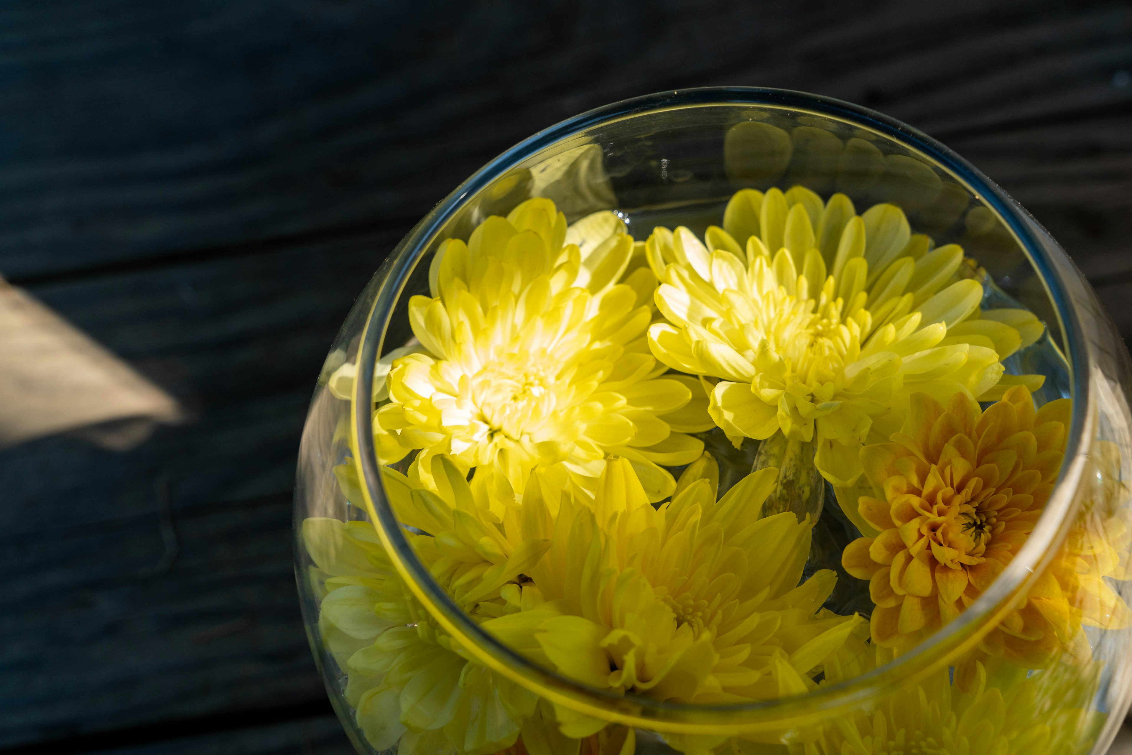 Gros plan de fleurs jaunes flottant dans un bol transparent