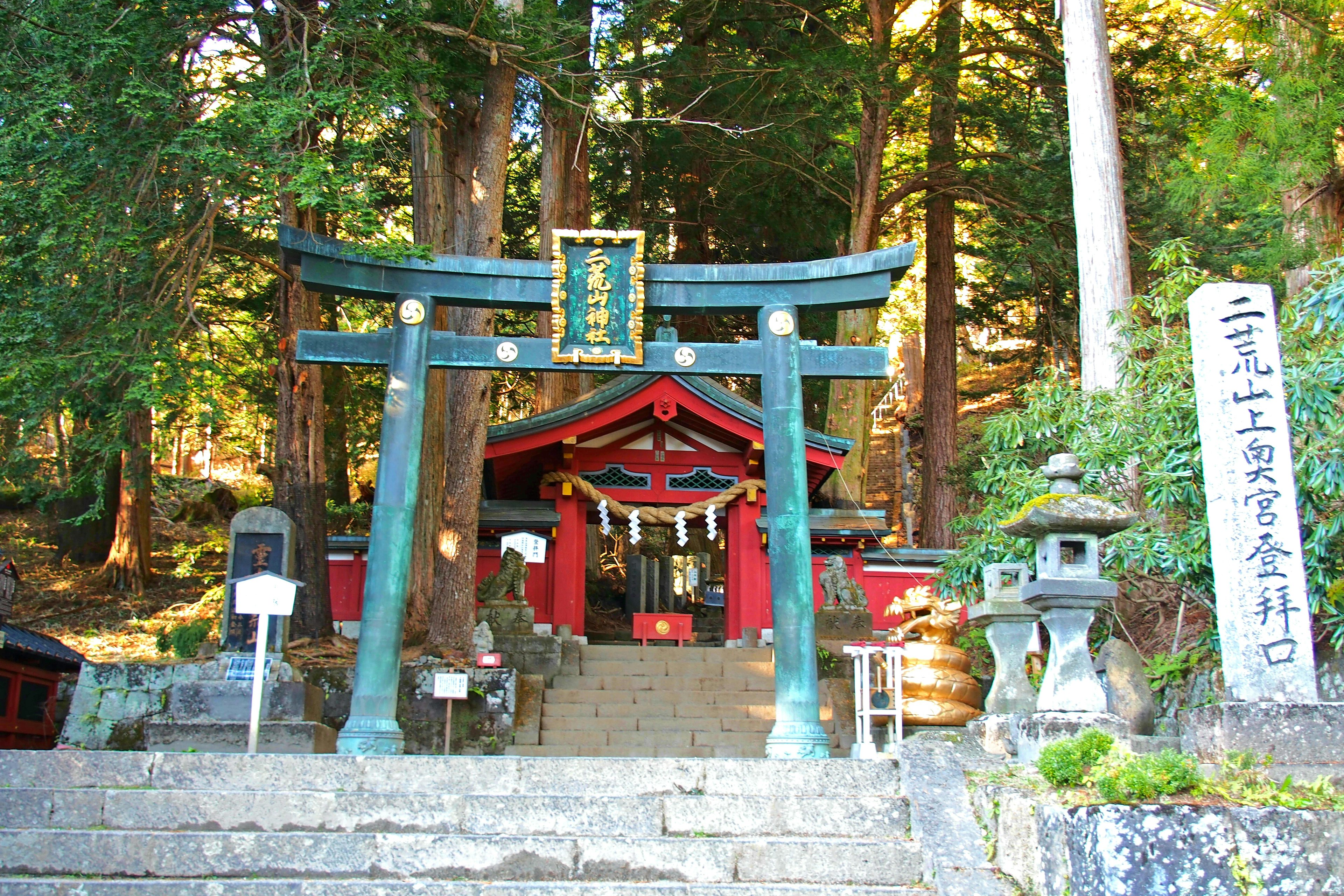 Torii gate and red shrine surrounded by lush green trees