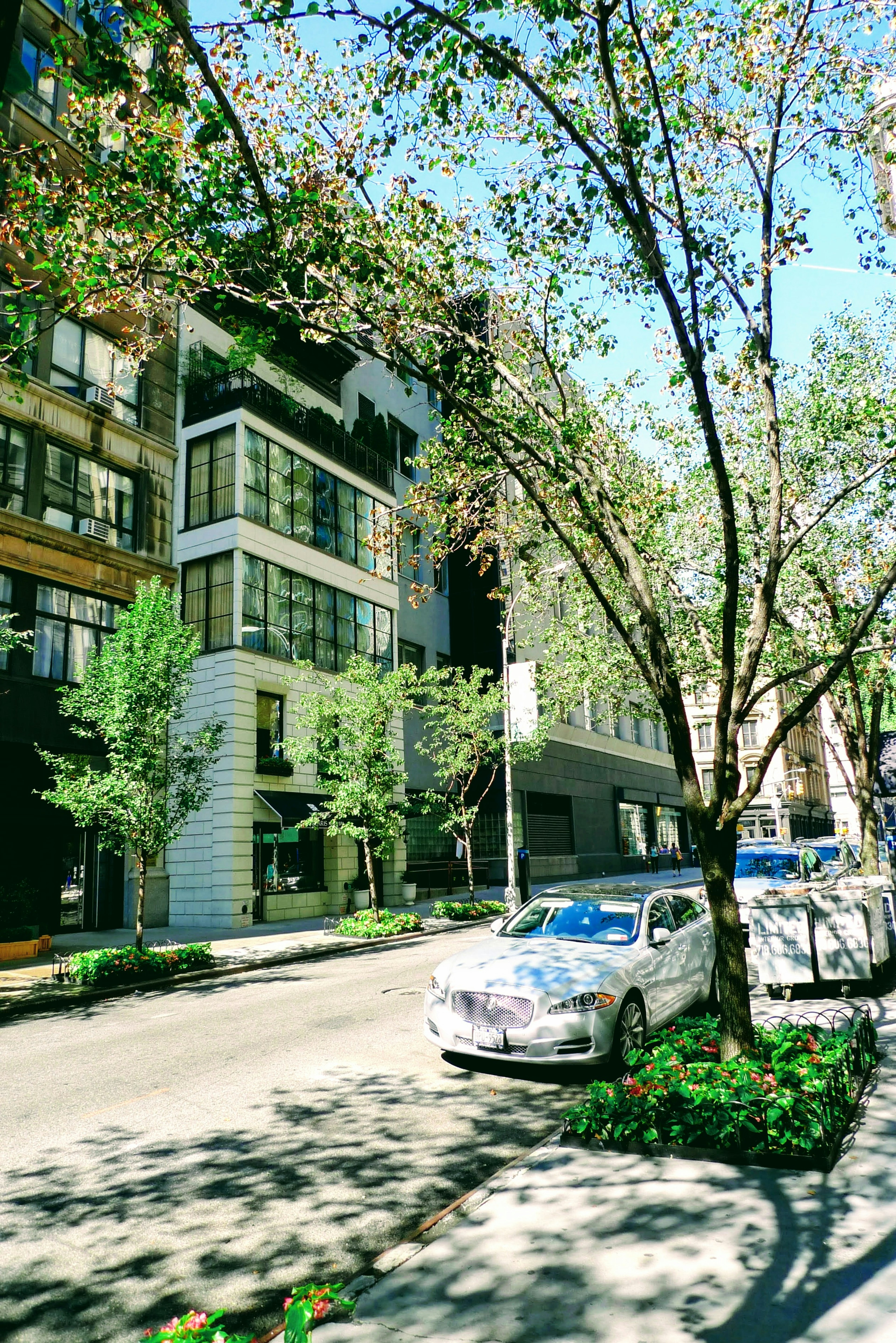 Street view with modern buildings and green trees