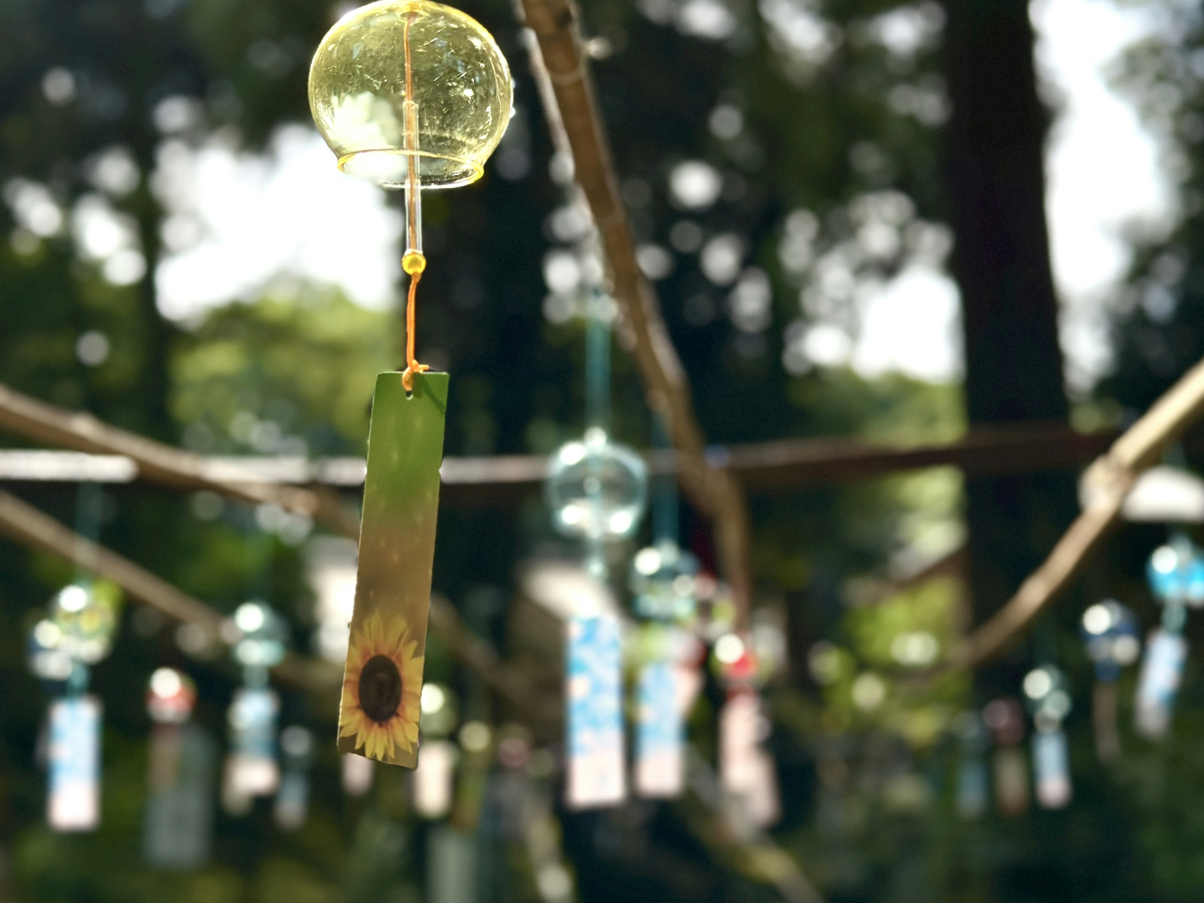 Cloche en verre suspendue à une structure en bambou entourée de verdure