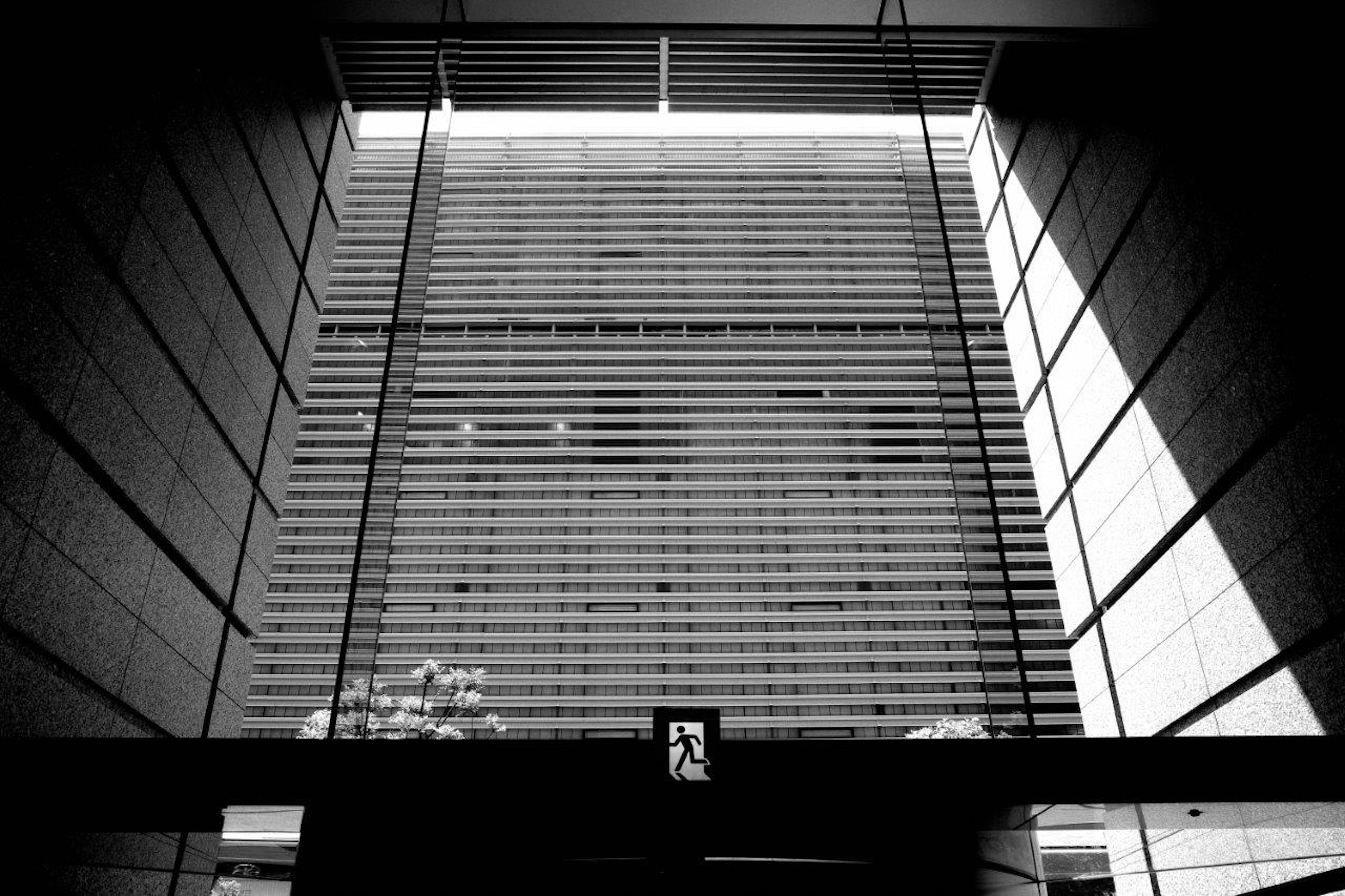 Blick durch ein architektonisches Fenster in Schwarzweiß mit gestreiften Jalousien und sichtbarem Grün draußen