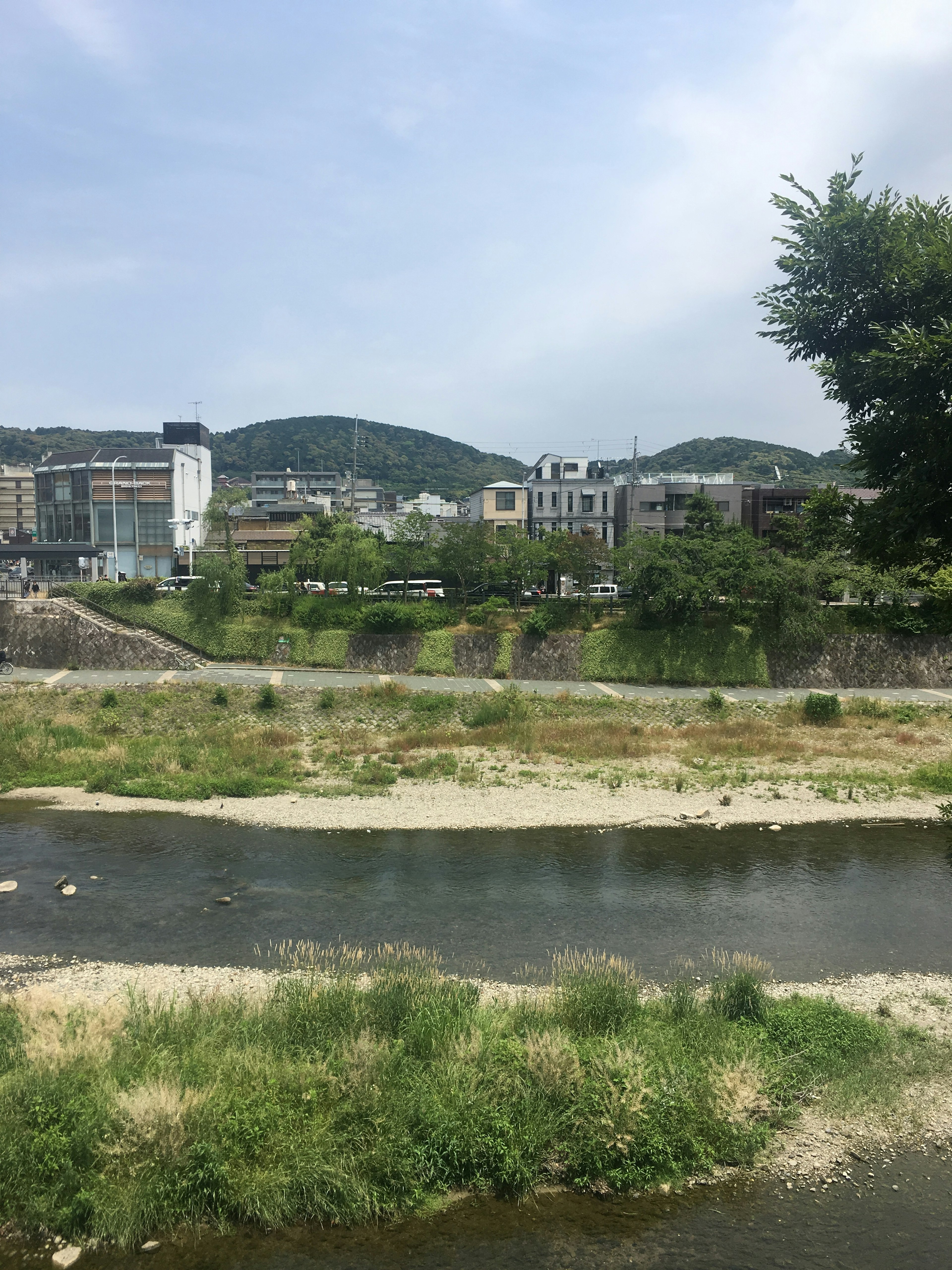 Paesaggio urbano con un fiume e erba verde in primo piano