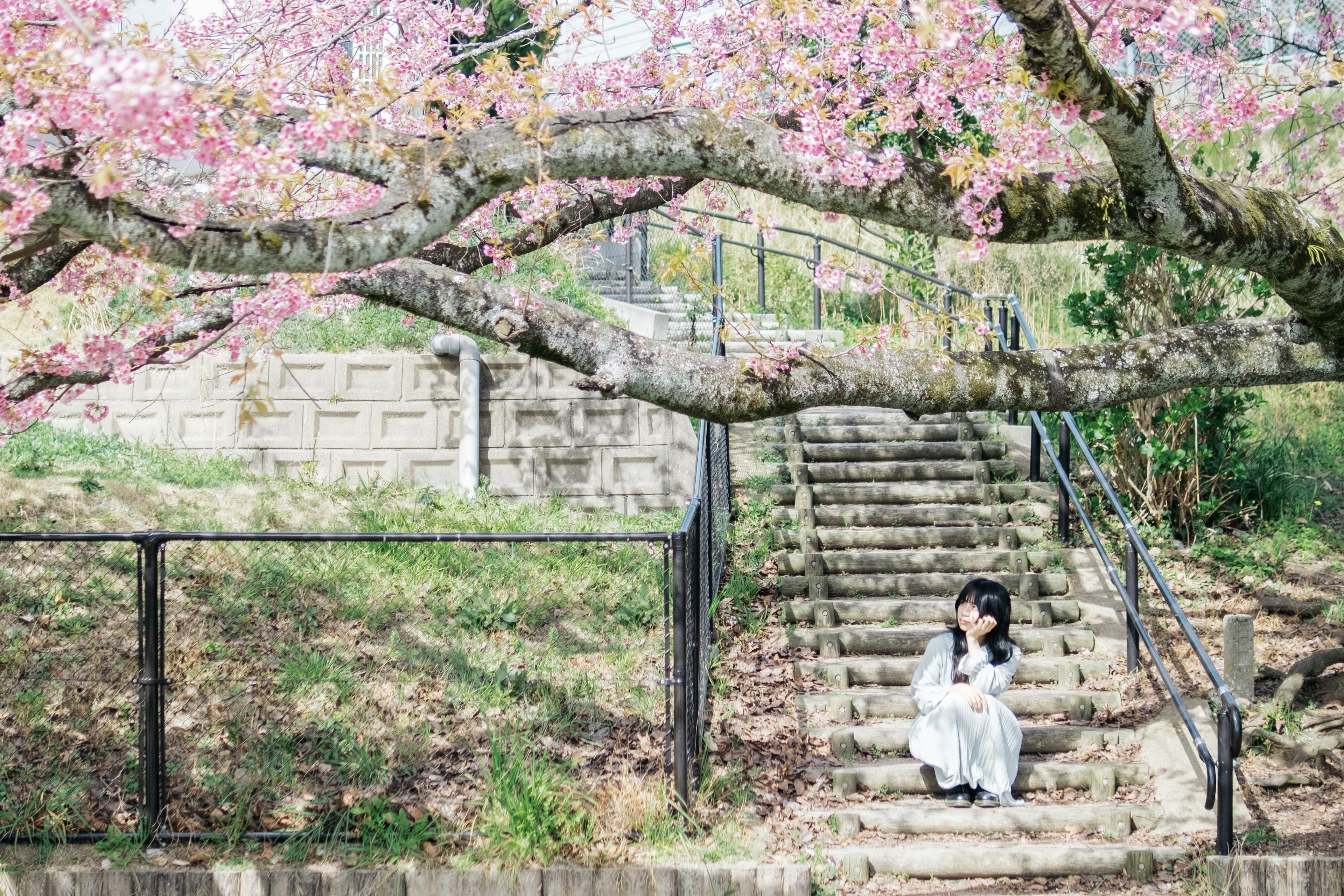 Une femme assise sous un cerisier en fleurs portant une robe blanche près d'escaliers en pierre et d'herbe verte