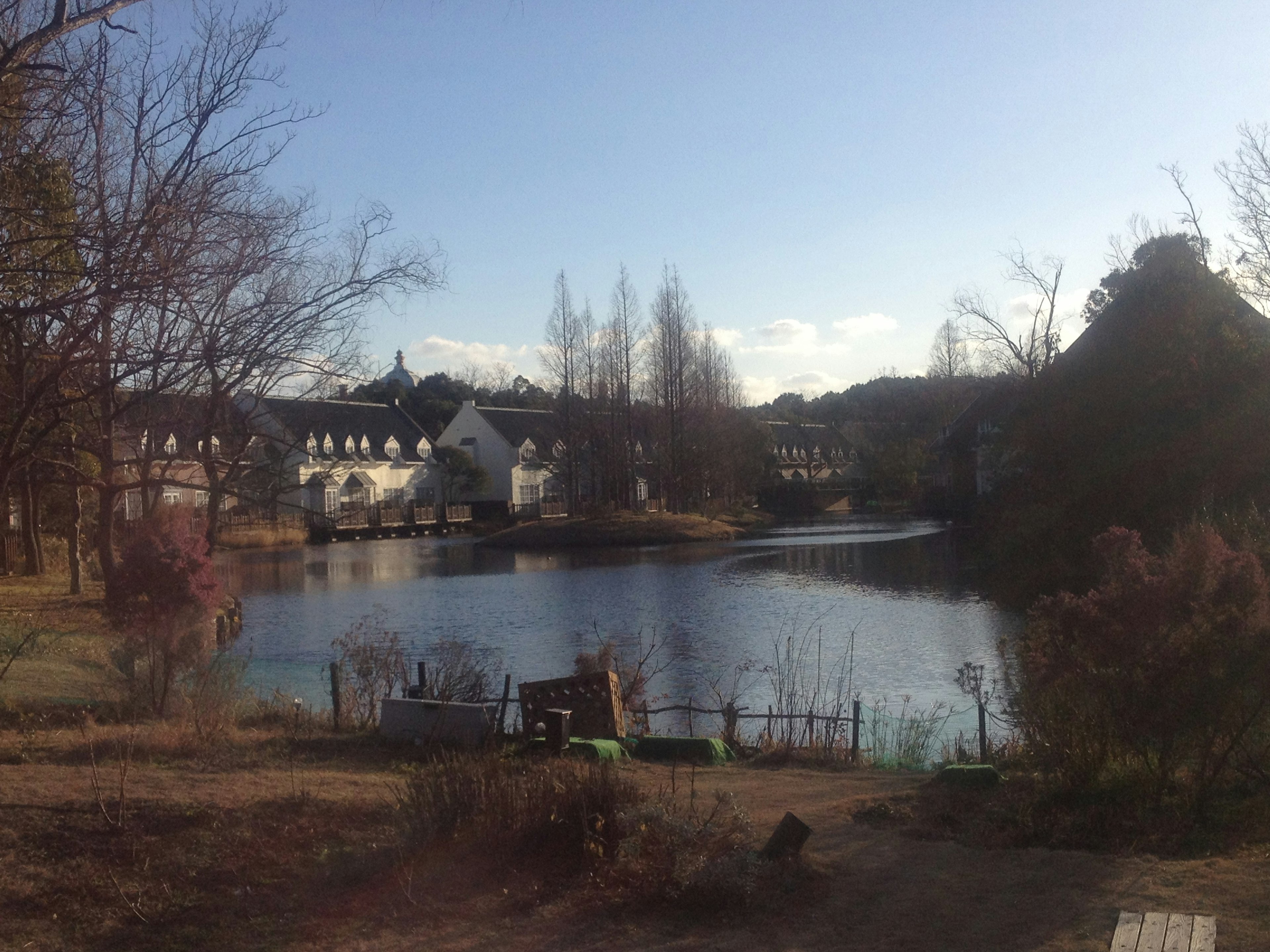 A serene lake surrounded by trees with a residential area in the background