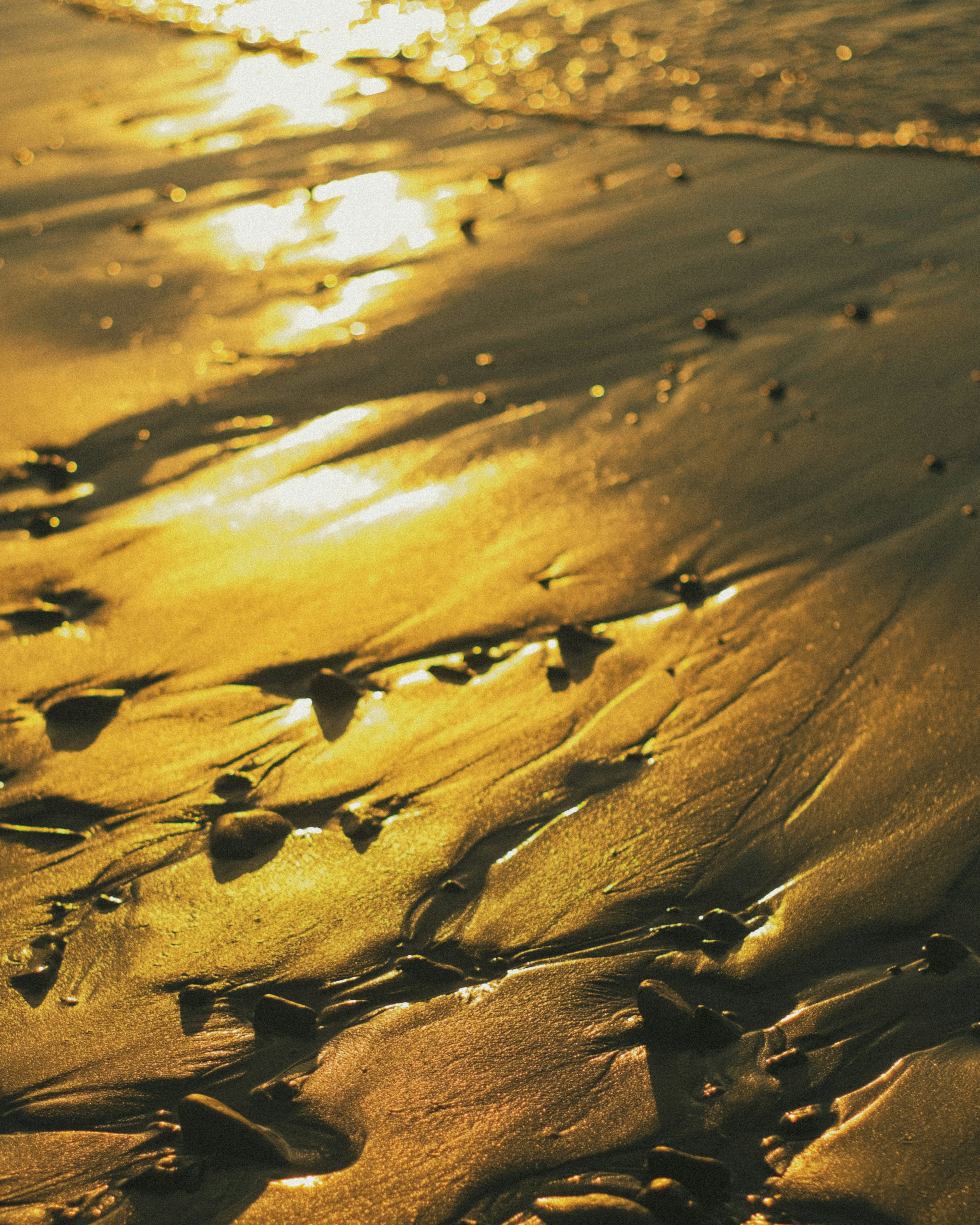 Sonnenlicht, das sich auf dem nassen Sand am Strand spiegelt